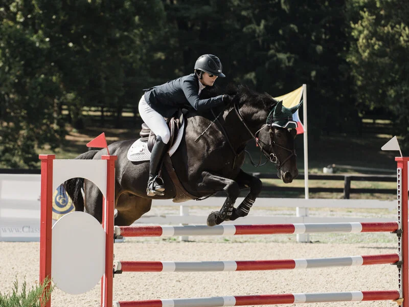Wisconsin ODF, ridden by Maggie Jayne, finished first in the 6-year-old division. Photo by EQ Media