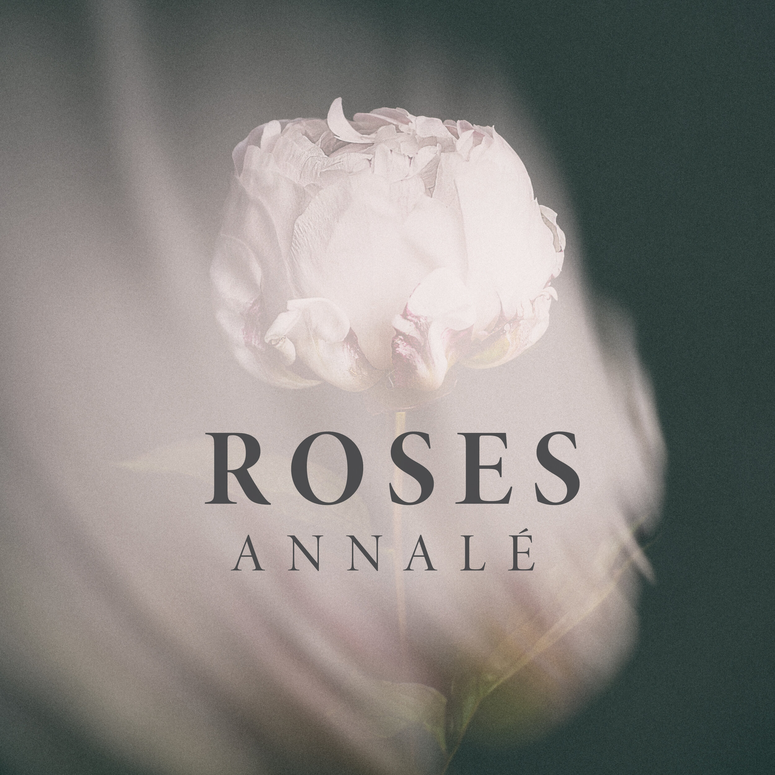 Annale_Roses_RGB_HI.jpg