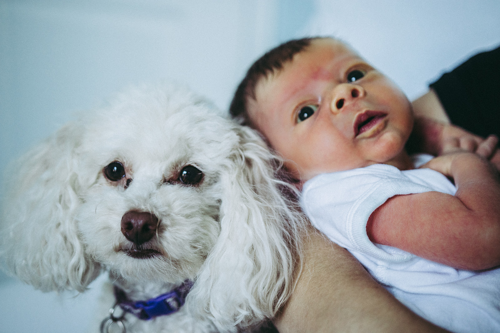 baby+vonier+newborn-19.jpg