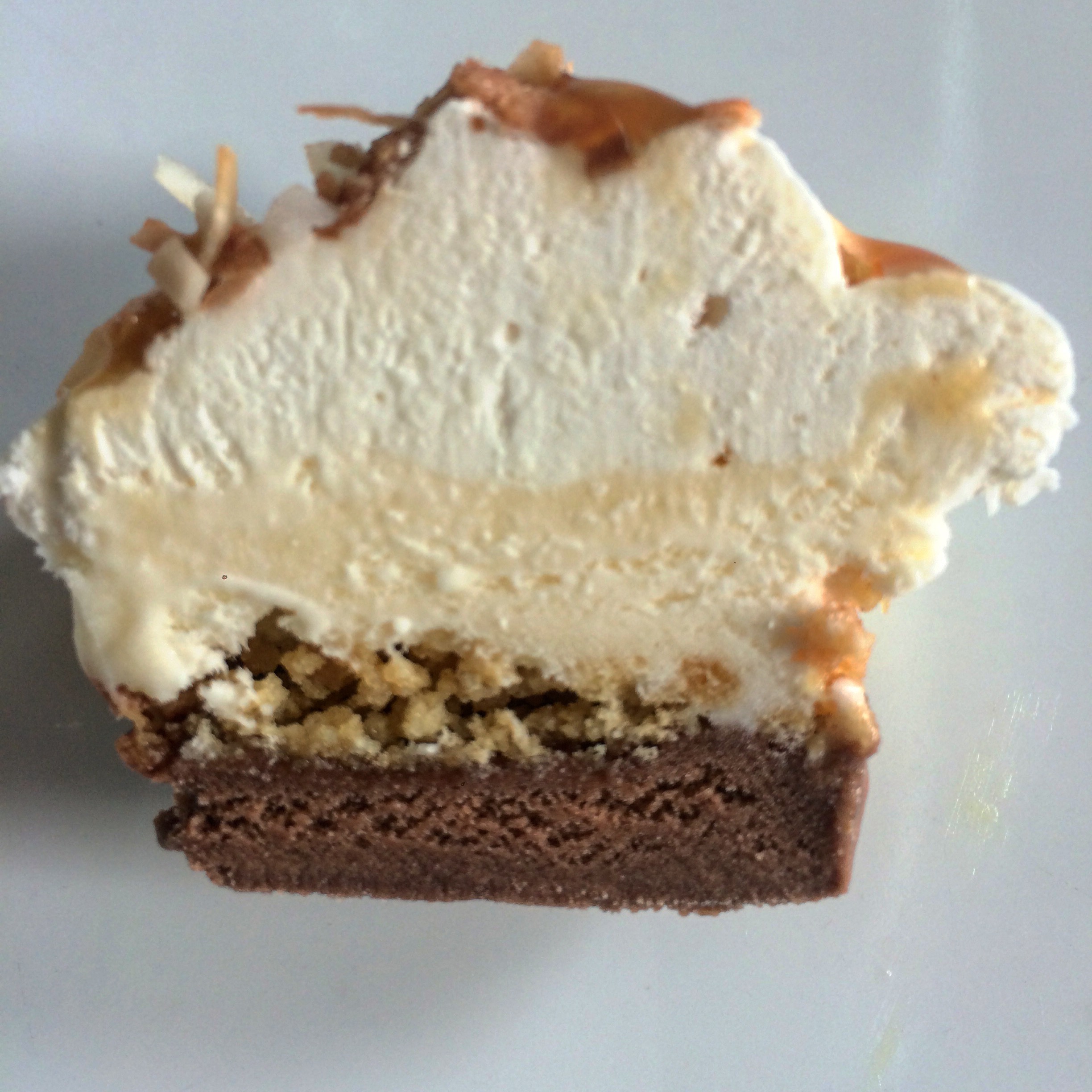 CoconutDream - Slice.JPG