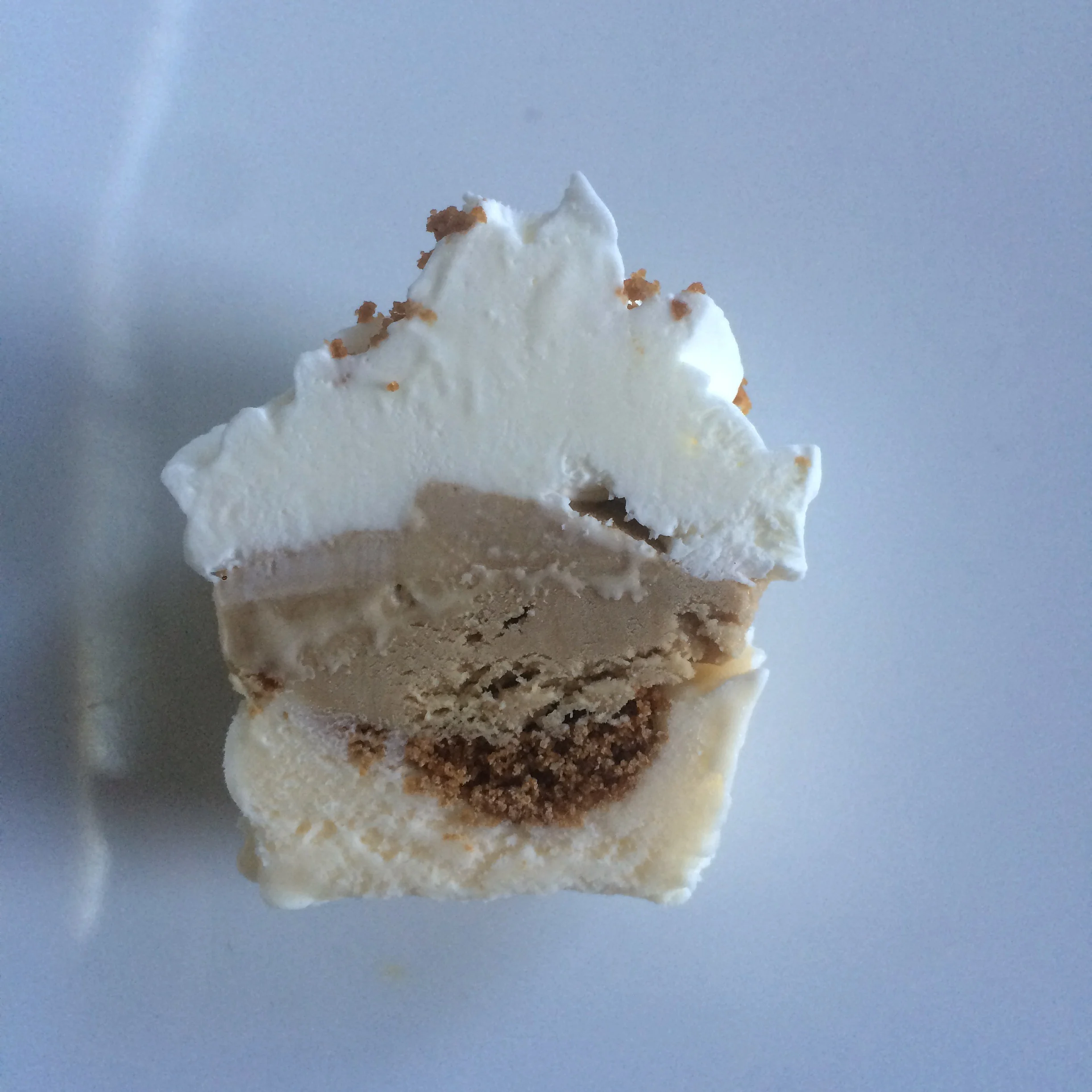 Frozen Latte - Slice.JPG