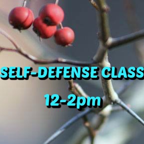 FREE SELF-DEFENSE CLASS @ LAVA