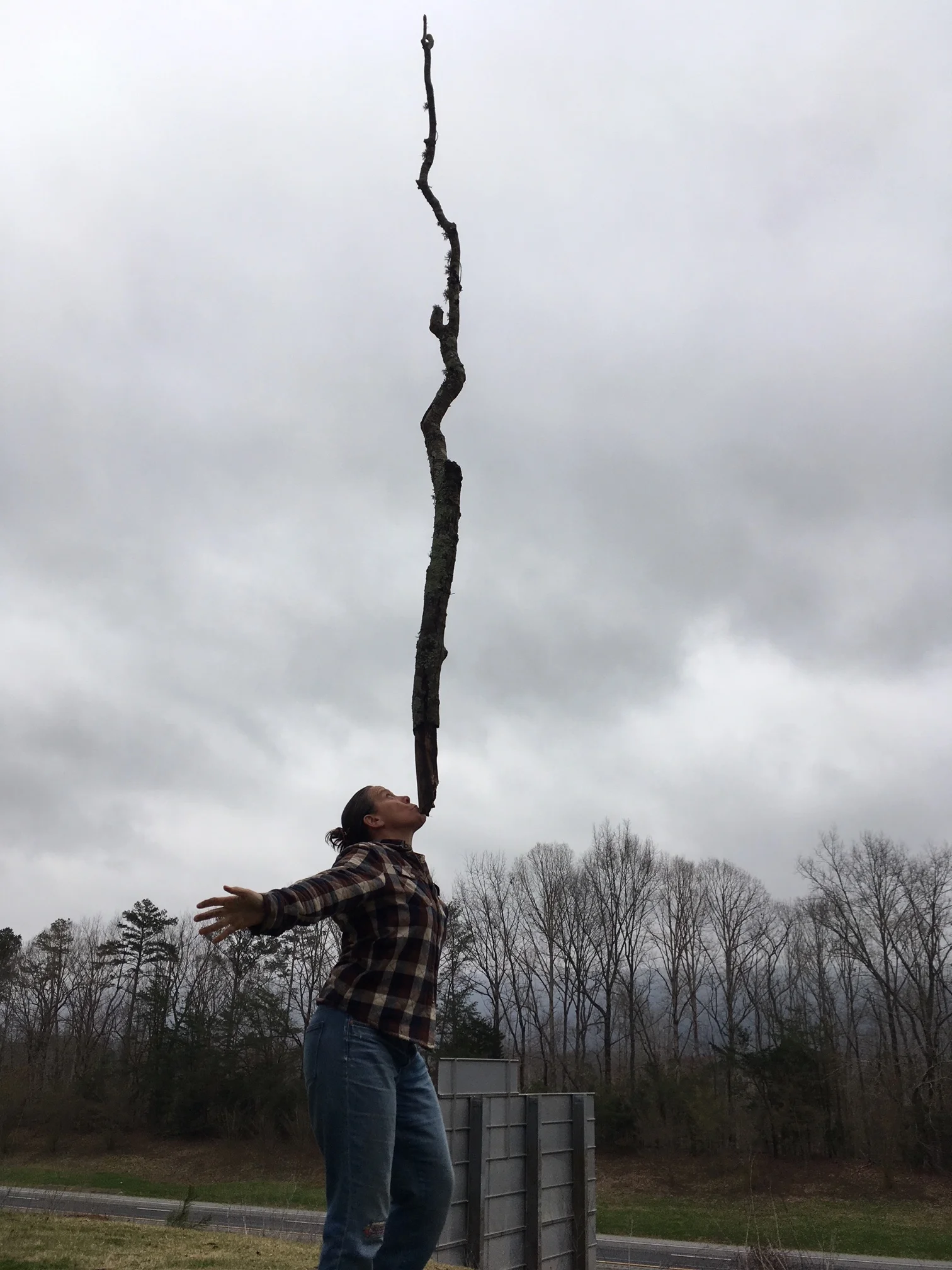 LAVA Performs at ELEMENTS festival in upstate New York