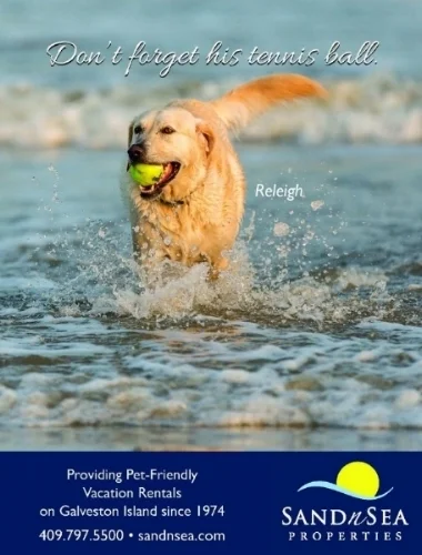 PetTalkBlueReleigh.jpg