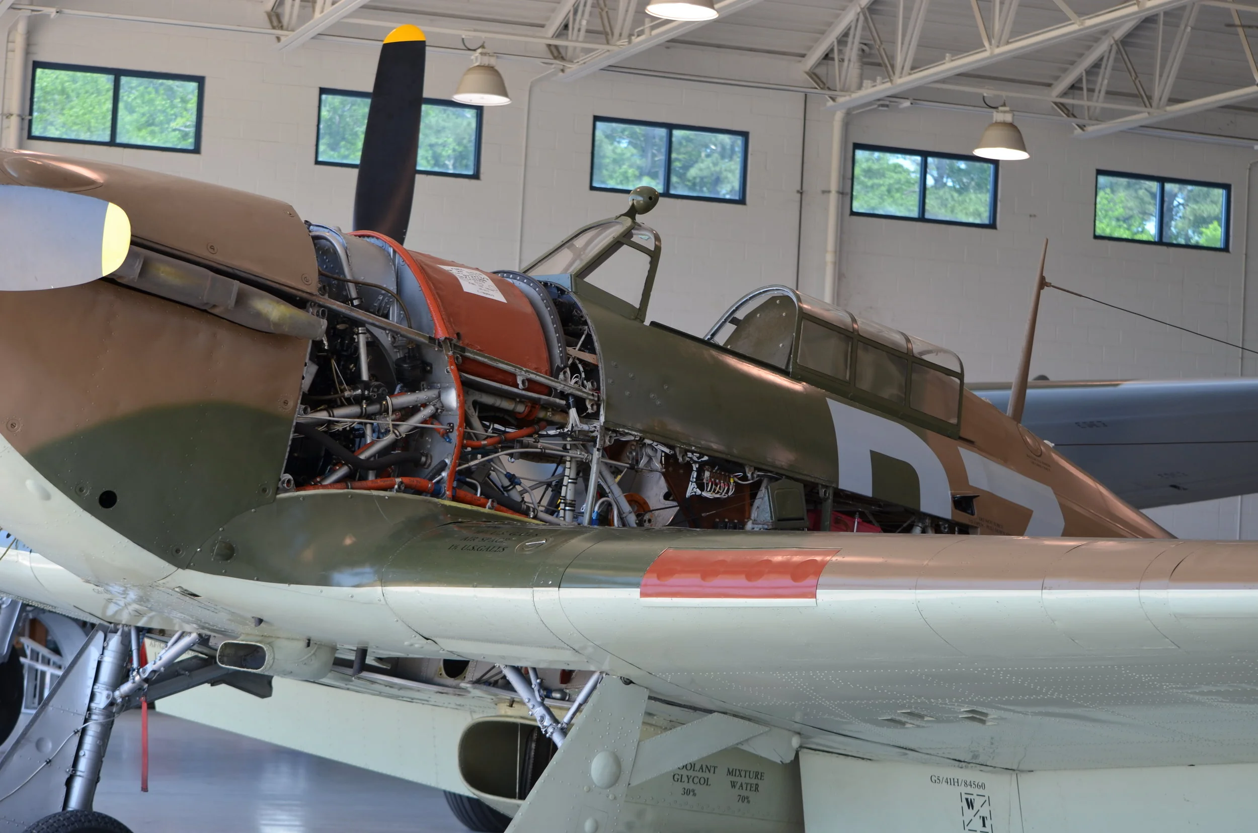 DSC_0045.JPG