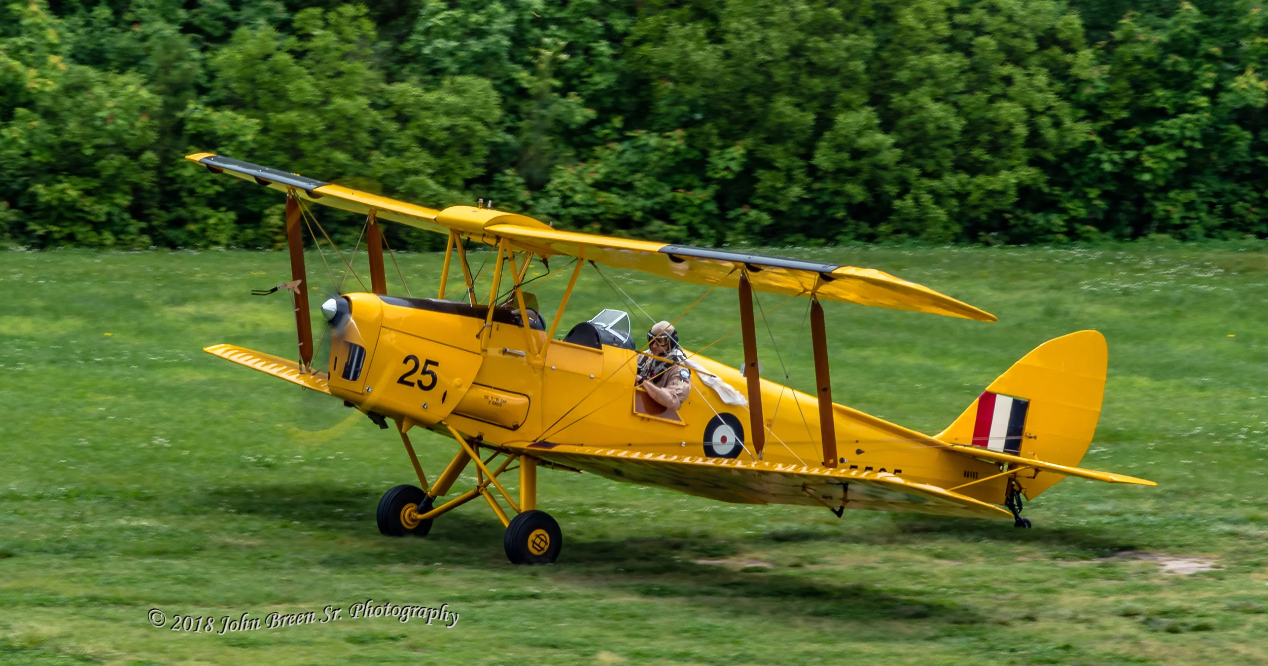 20180519-_JVB4424.jpg