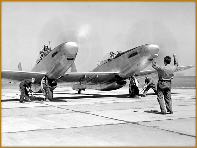 1949_23330_p.jpg