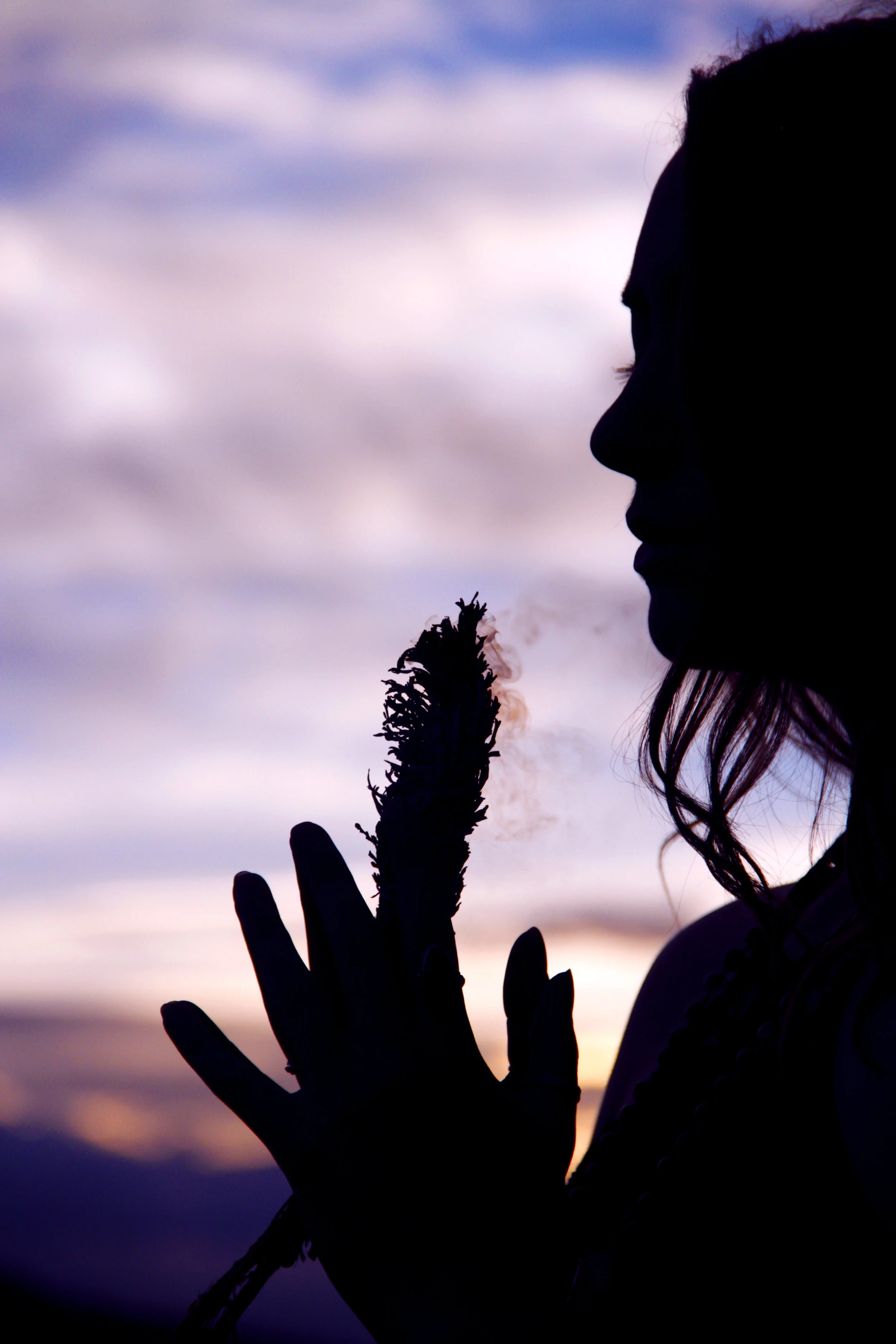 sunset-sage-4.jpg