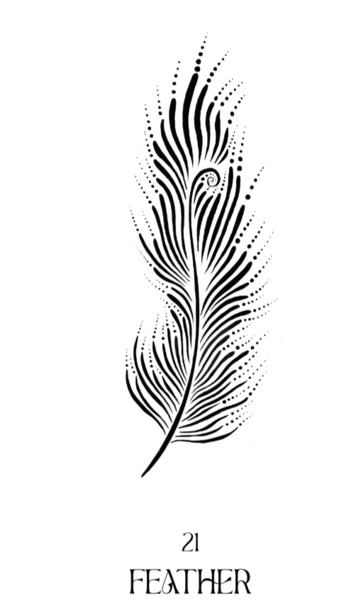feather.png