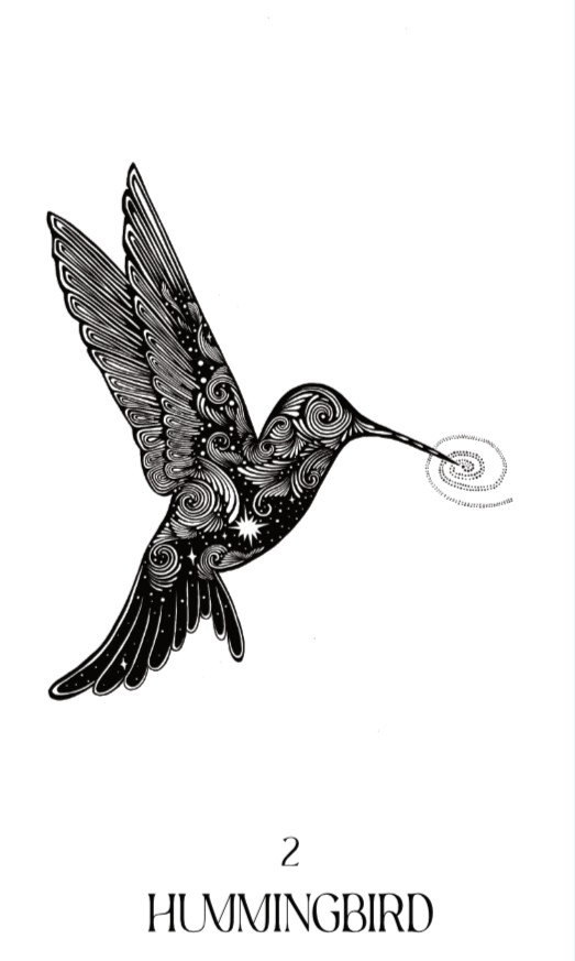 hummingbird.png