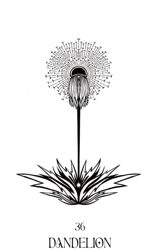 dandelion.png