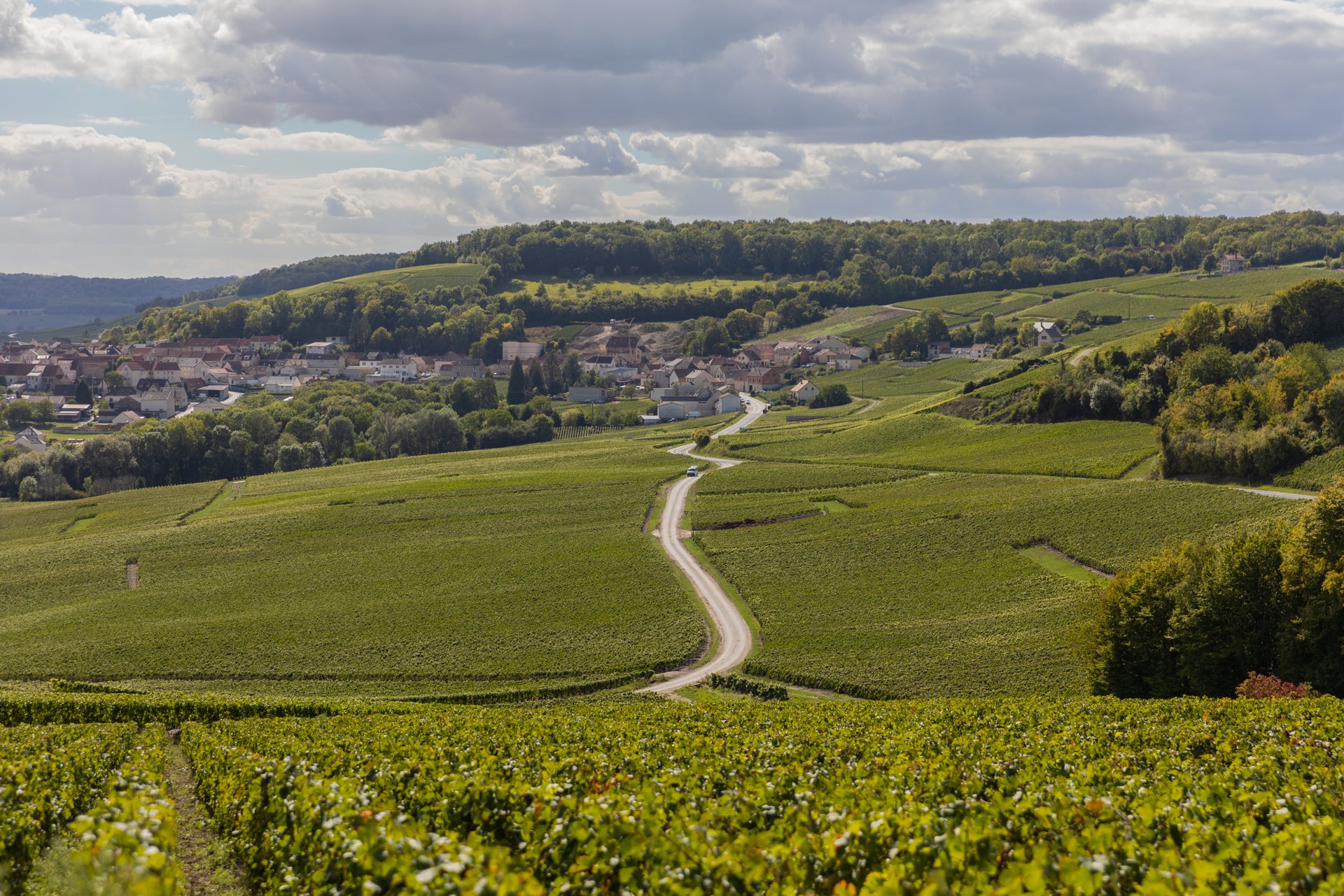 36_Champagne de Vignerons Septempbre 2022 photos ©Laura Vesmare @lestudioalma-9033-web.jpg