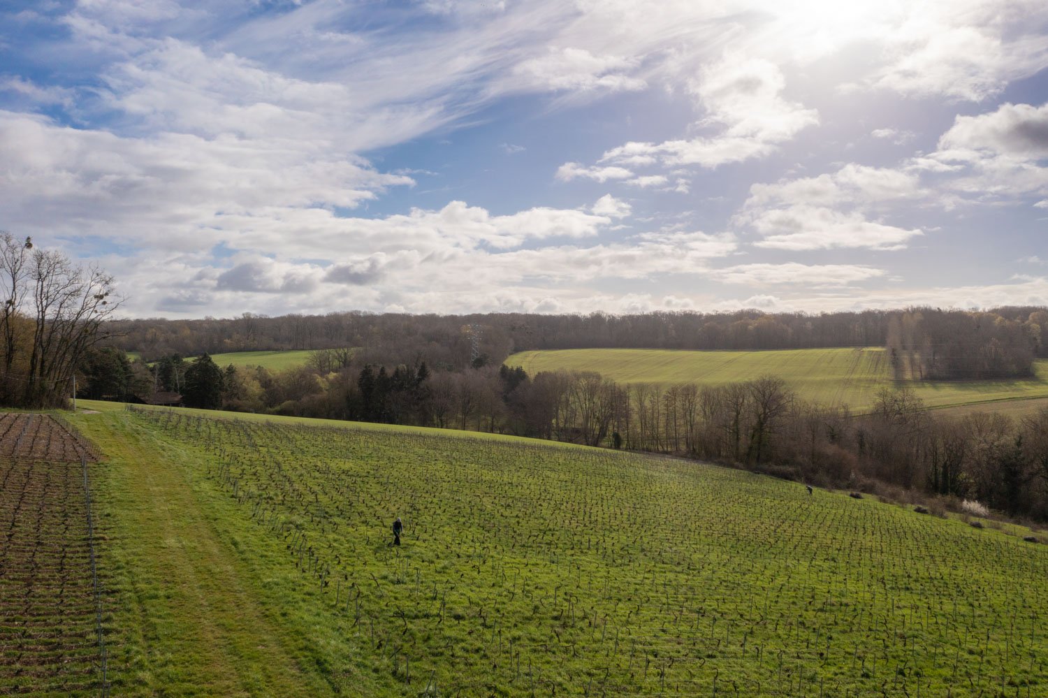 012_Champagne Gallo Champagne de Vignerons mars 2023 Photos ©Alexis Jacquin @lestudioalma_0207-2023 STUDIO ALMA © All rights reserved-_WEBSITE 2023.jpg