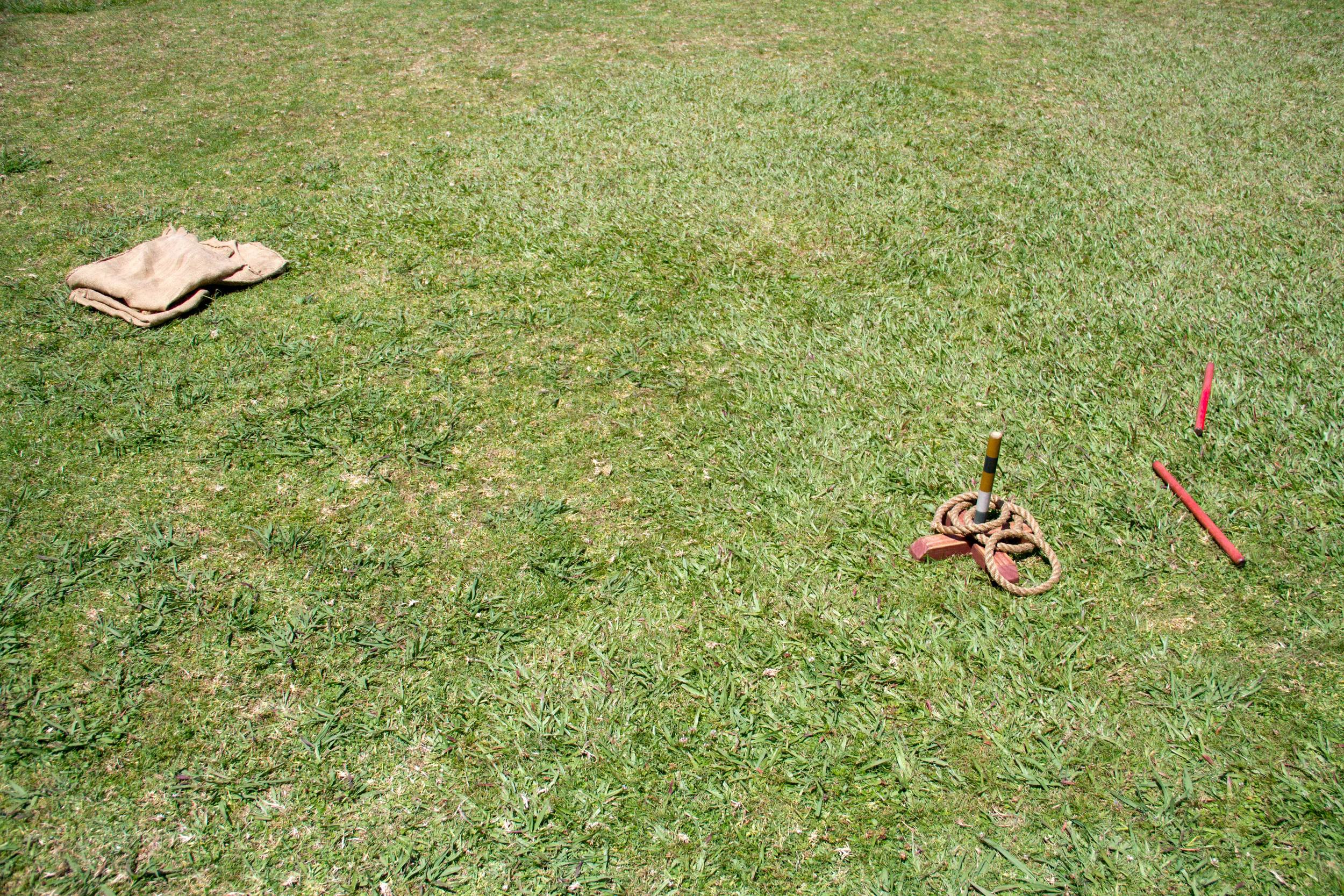 Waitangi Treaty Grounds (Sports) (diptych), 2017, 2 of 2