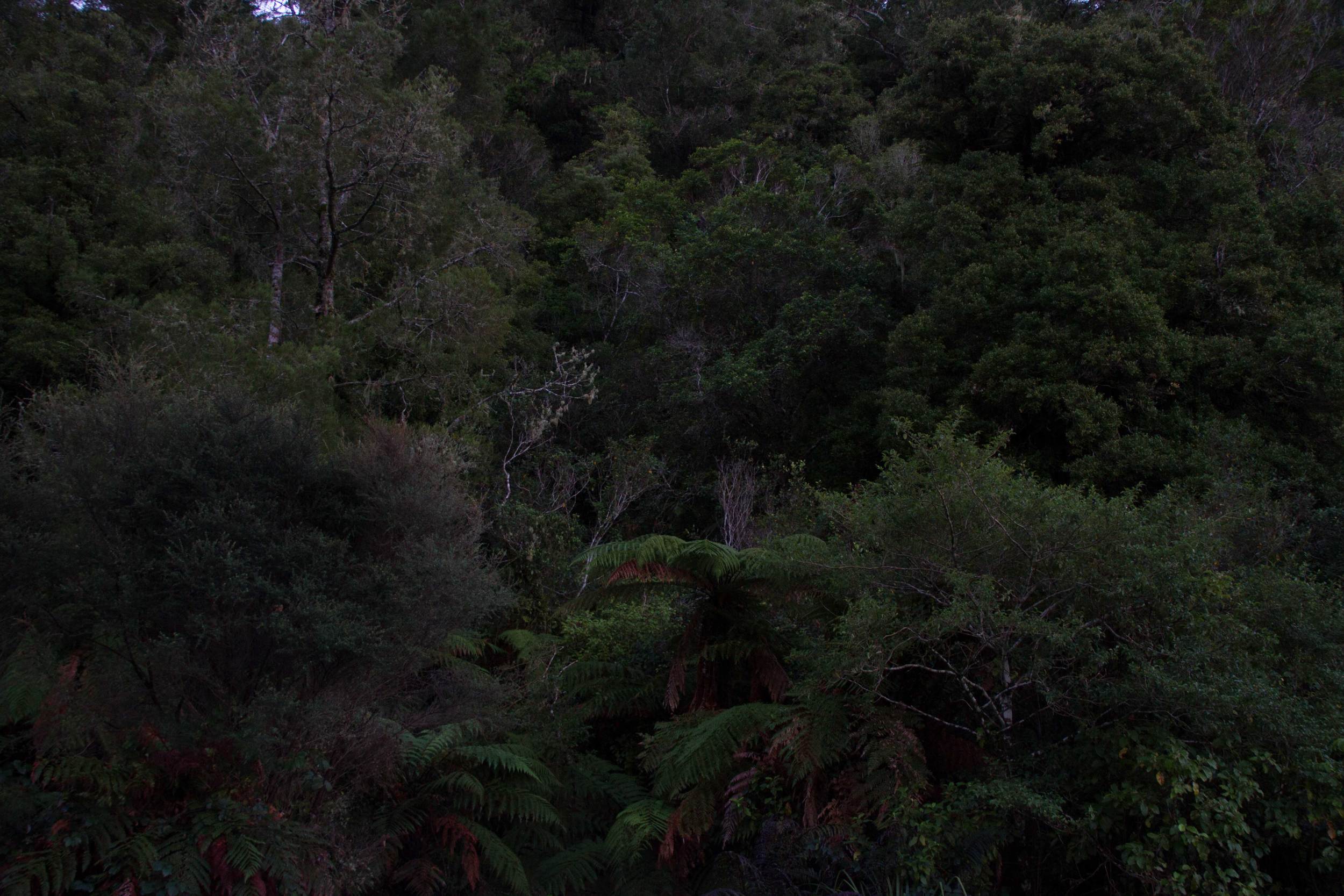 Tongaporutu Dusk, June 2016*