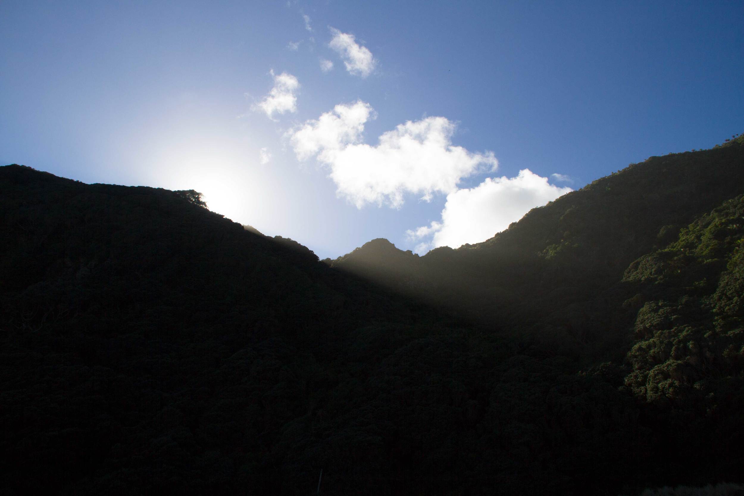 North Piha, 4 July 2016*