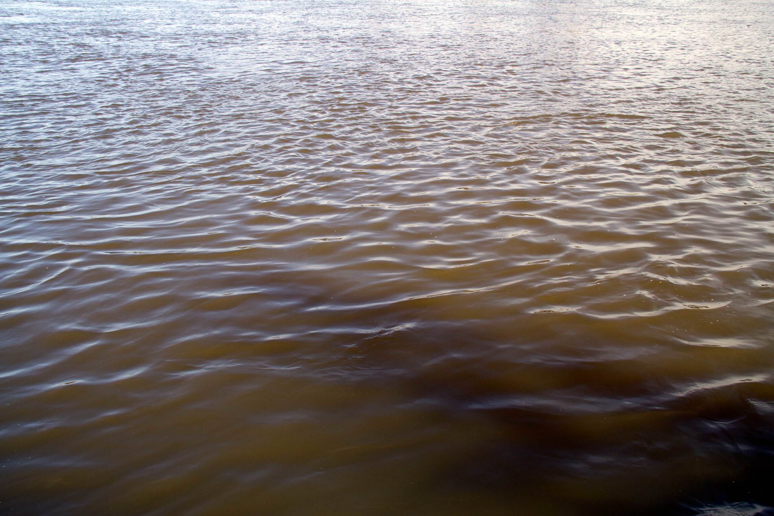 Waikato River, Huntly, July 2016*