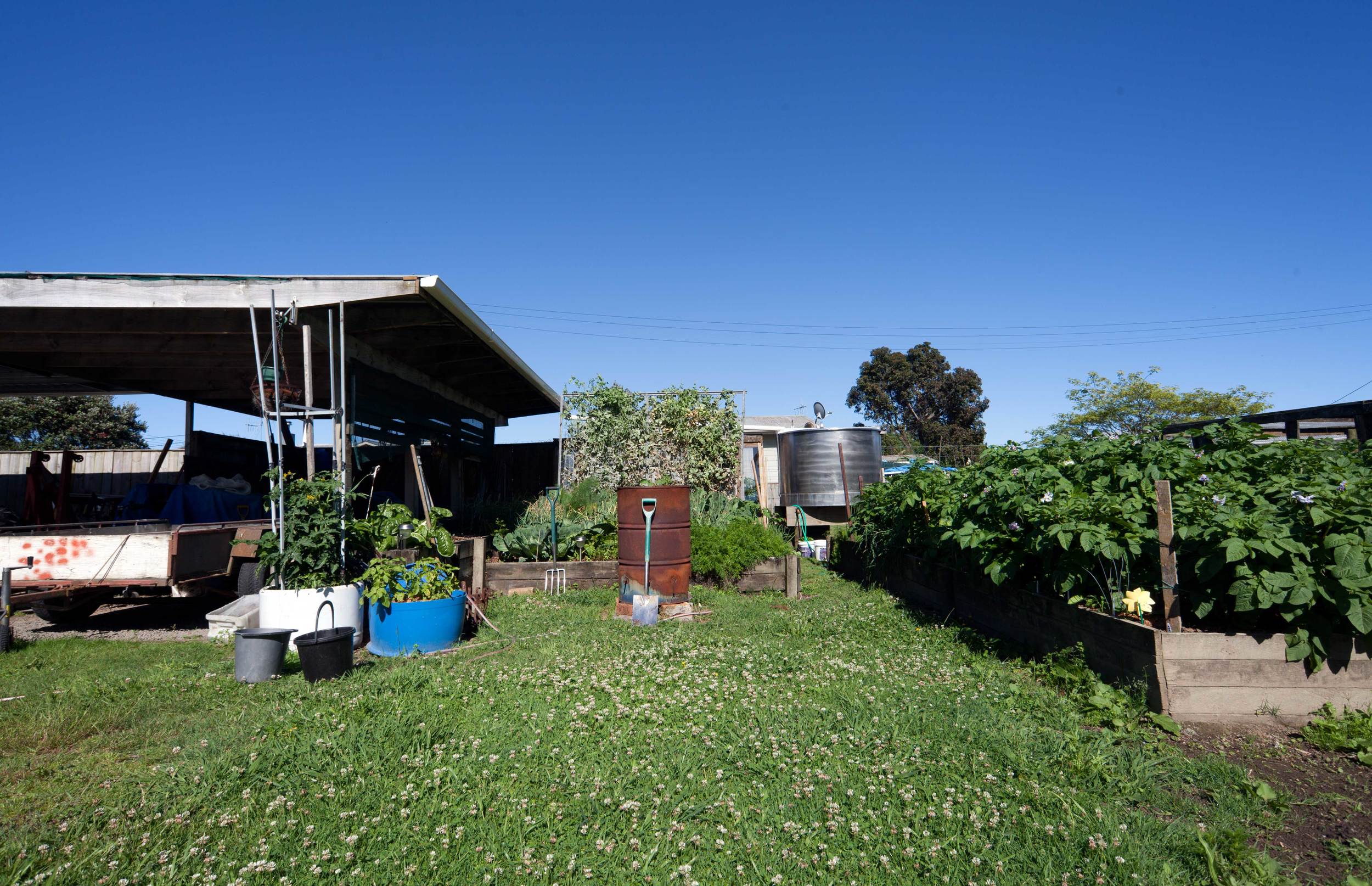 Dad's Place, Opotiki, 2015*