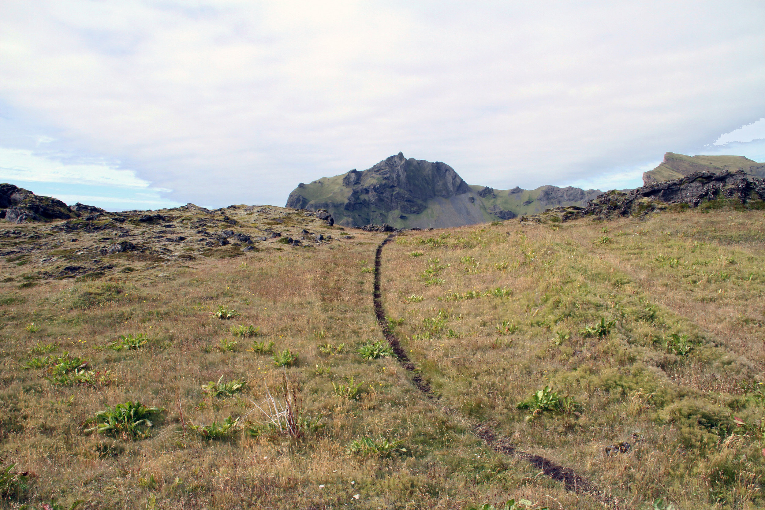Path, (After Richard Long), Iceland, 2012