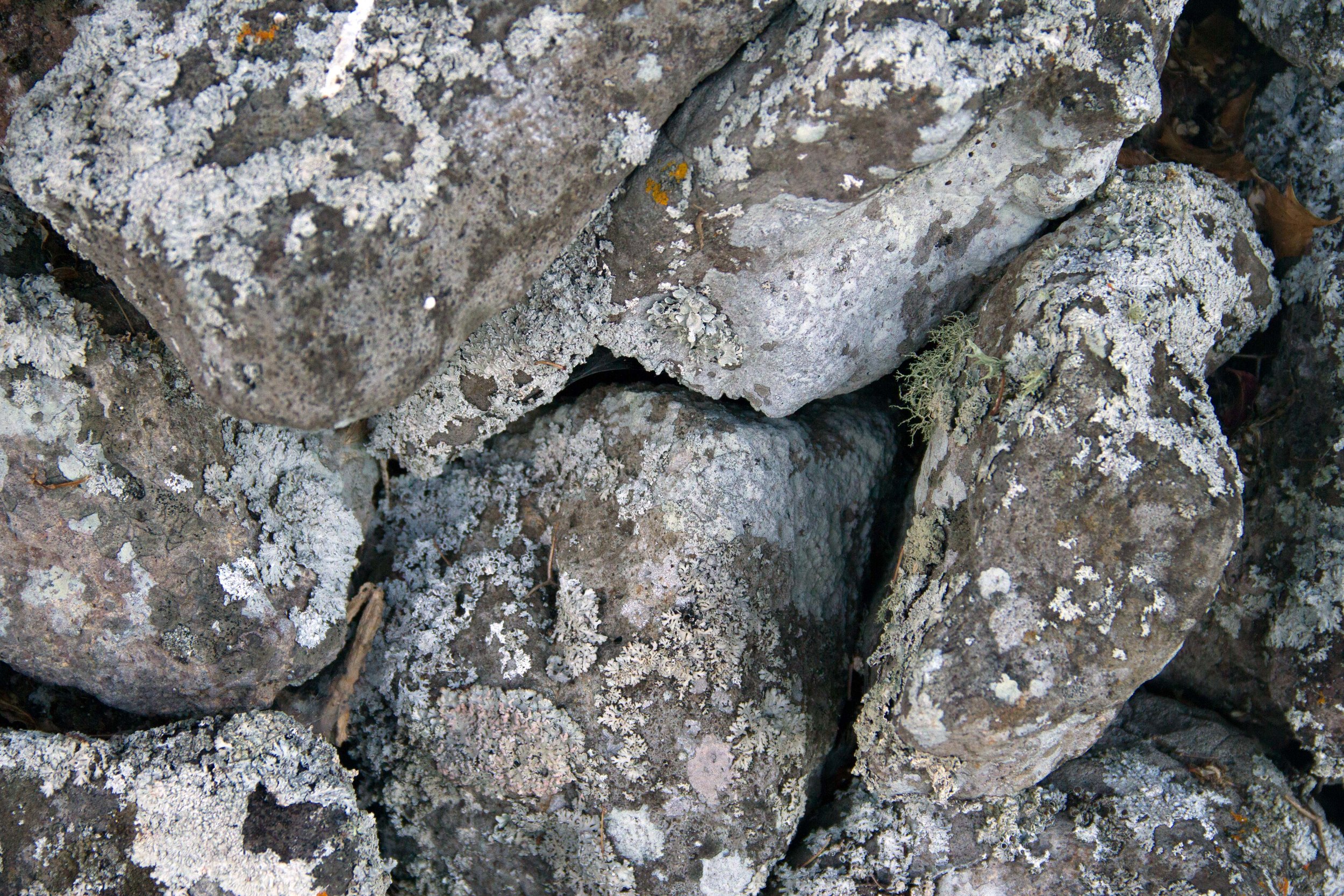 Stone Wall, Ohaeawai, 2017*