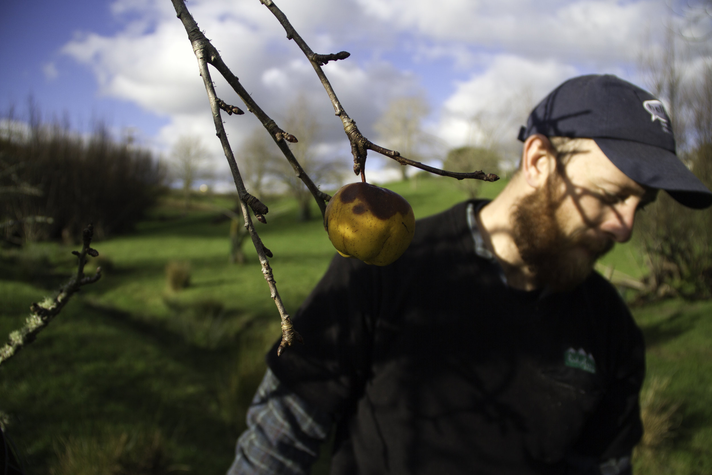 Ben and the Last Apple in the Orchard, Whanganui, 2017