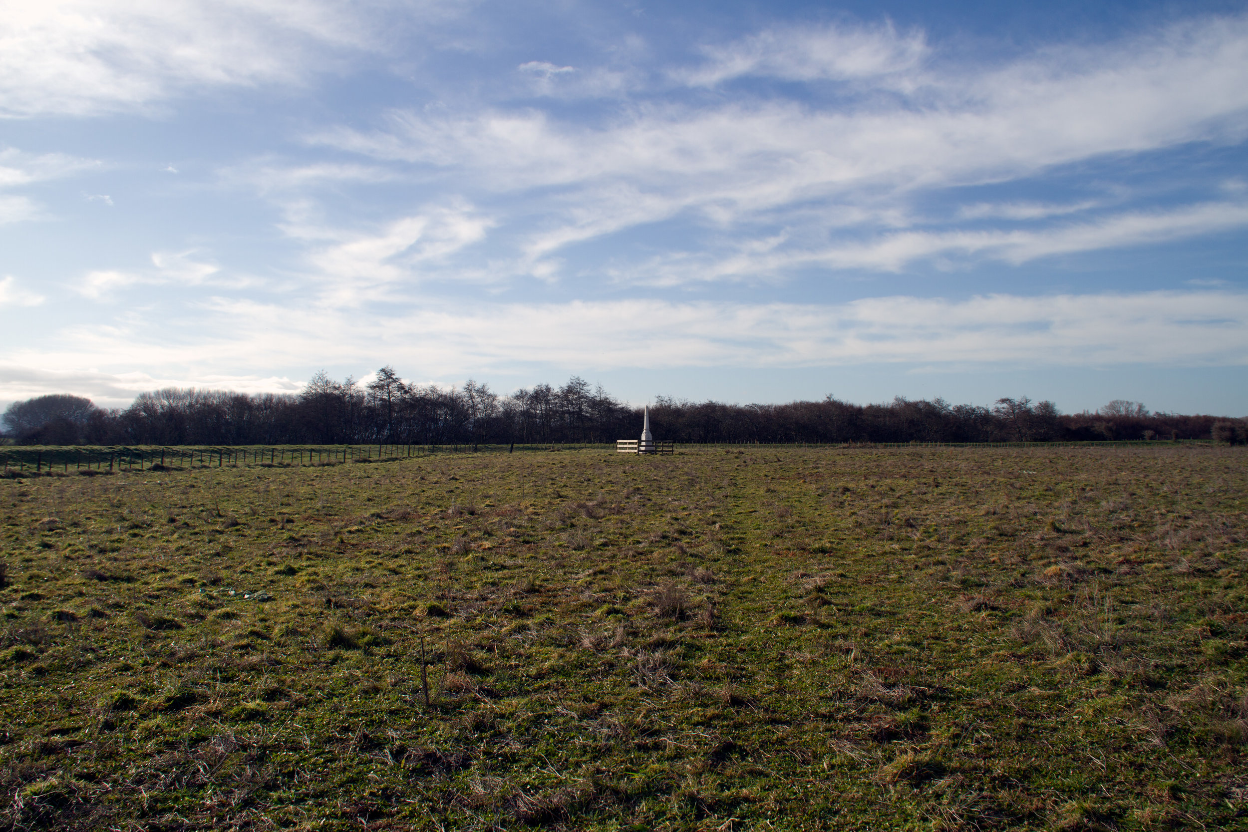 Monument out in a field.jpg