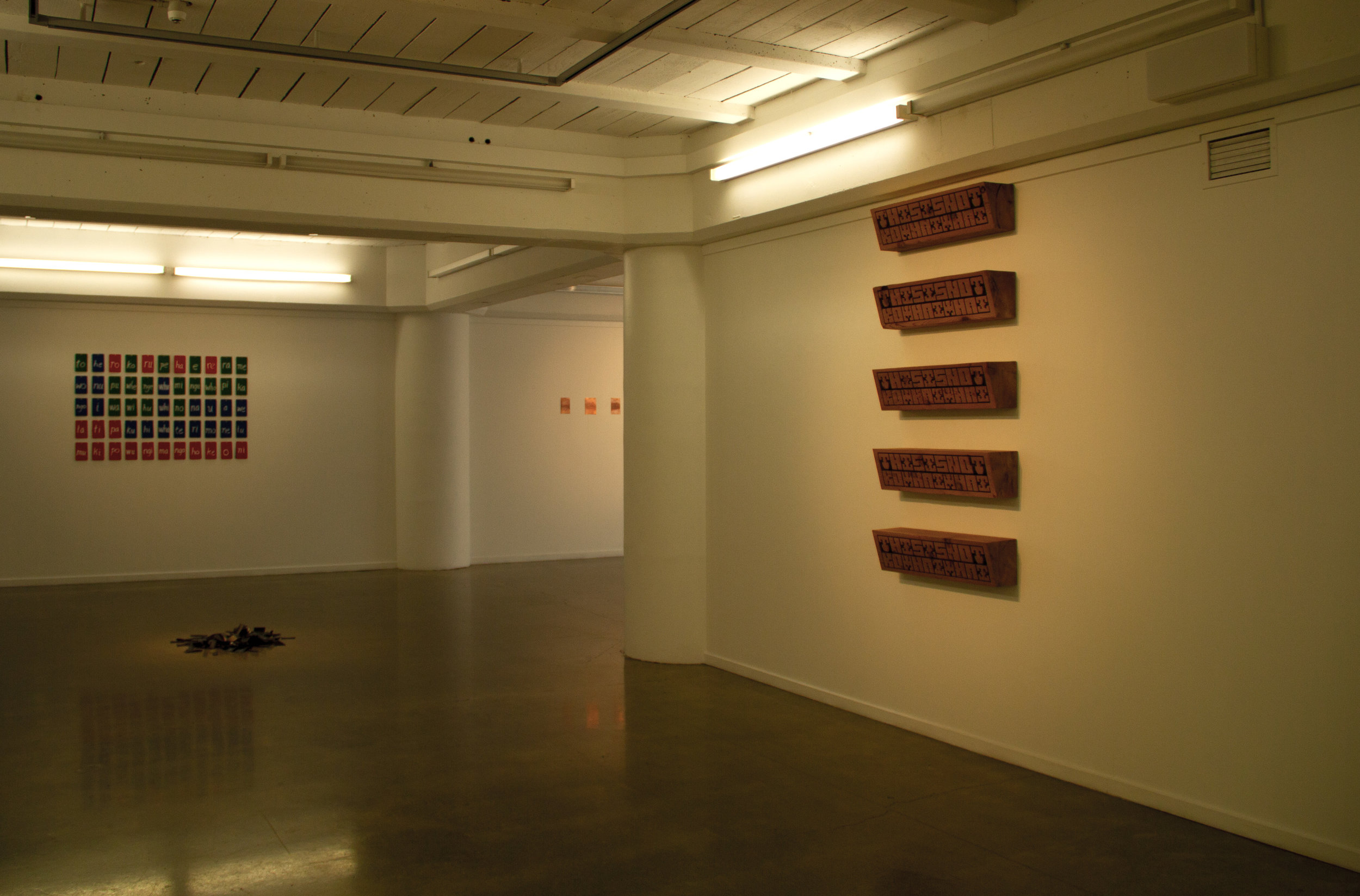 Te reo Pākehā, Installation View