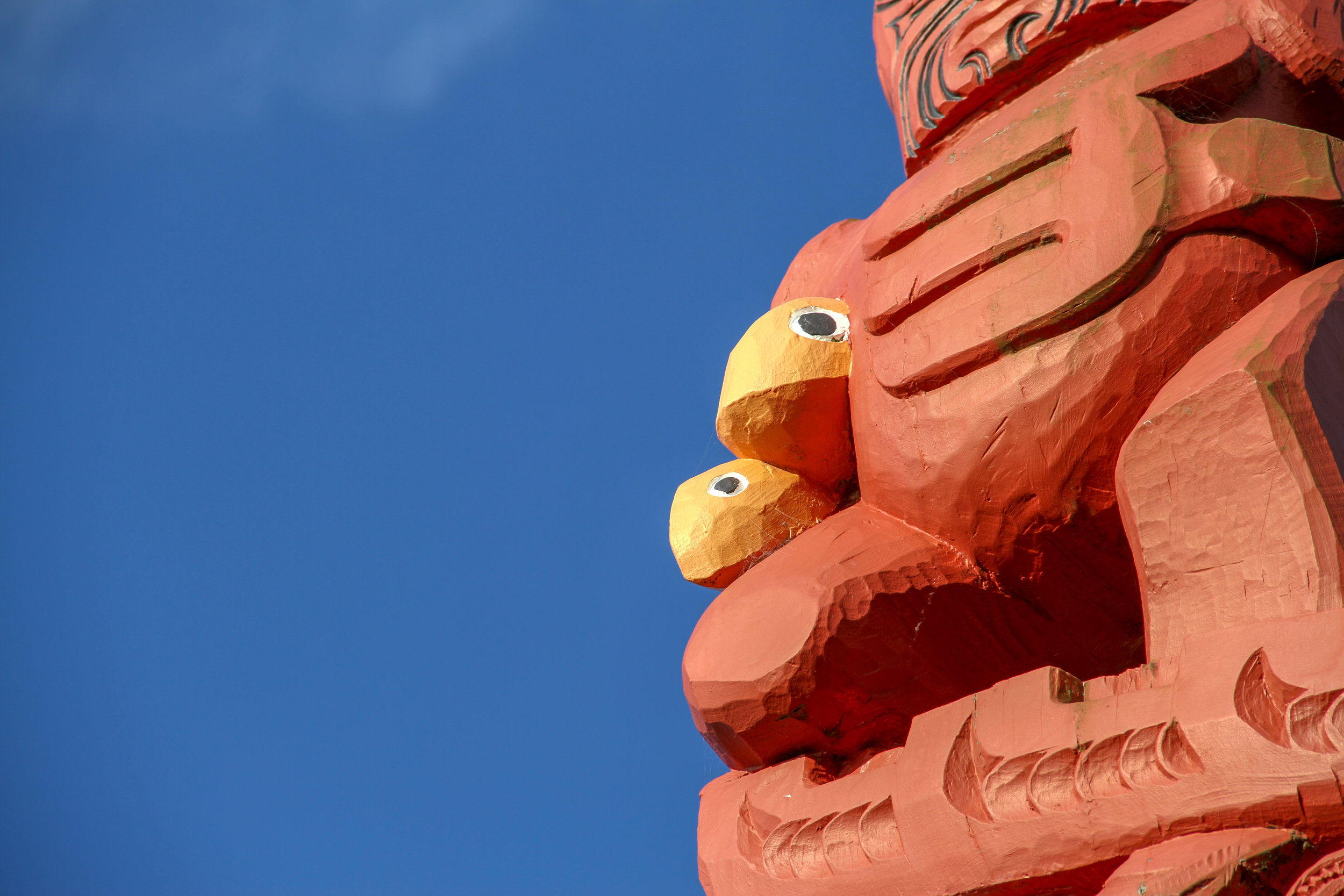 The Fish of Tarawa, Ōpōtiki, November 2018