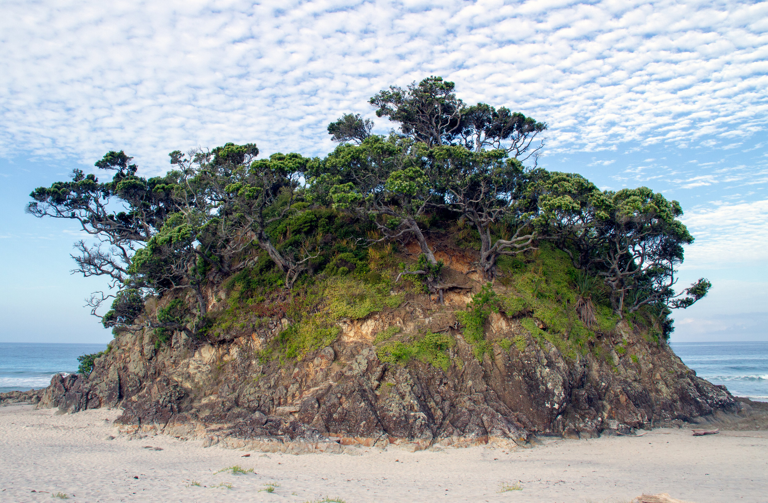 The Future is looking forward #193, Memory Park, Medlands Beach, Aotea/Great Barrier Island, January 2019