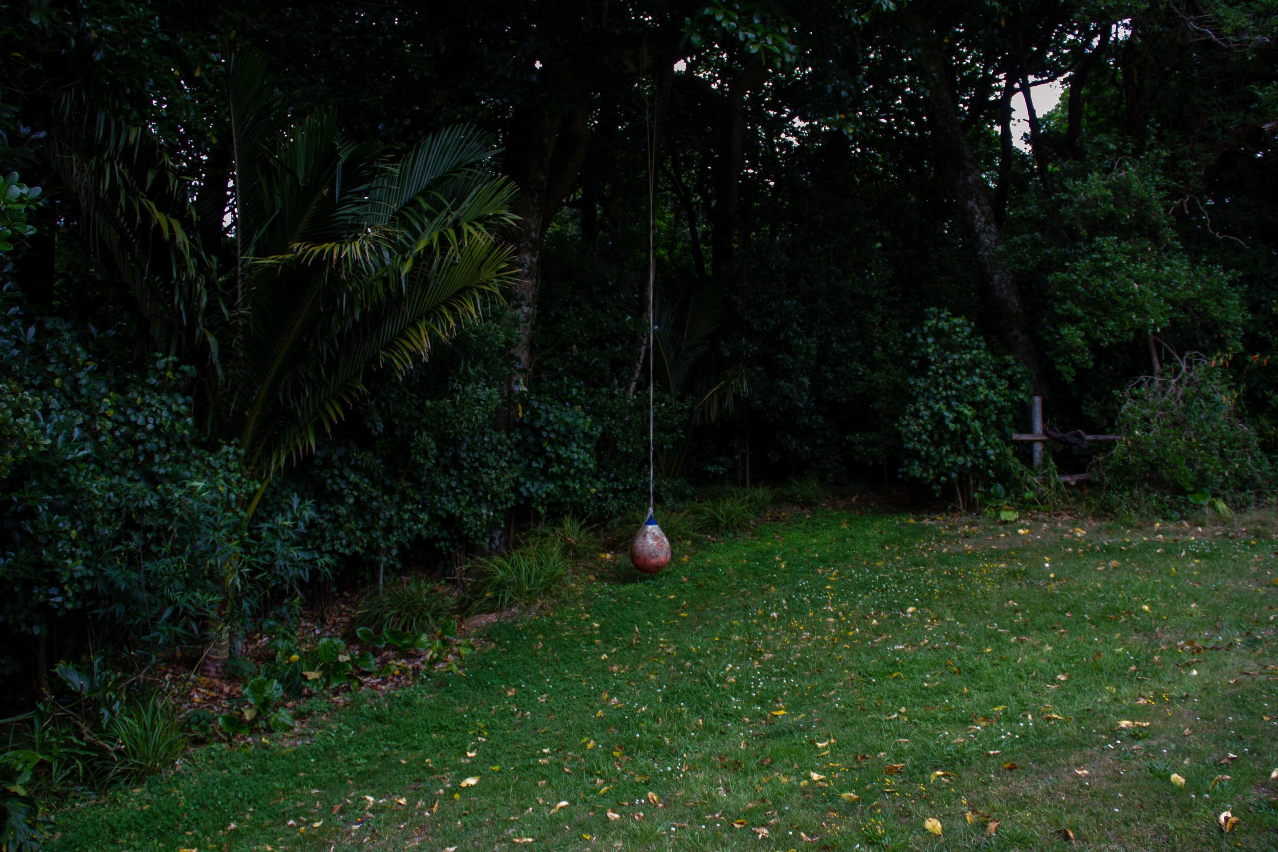 Swing, Wharekauri, 2019