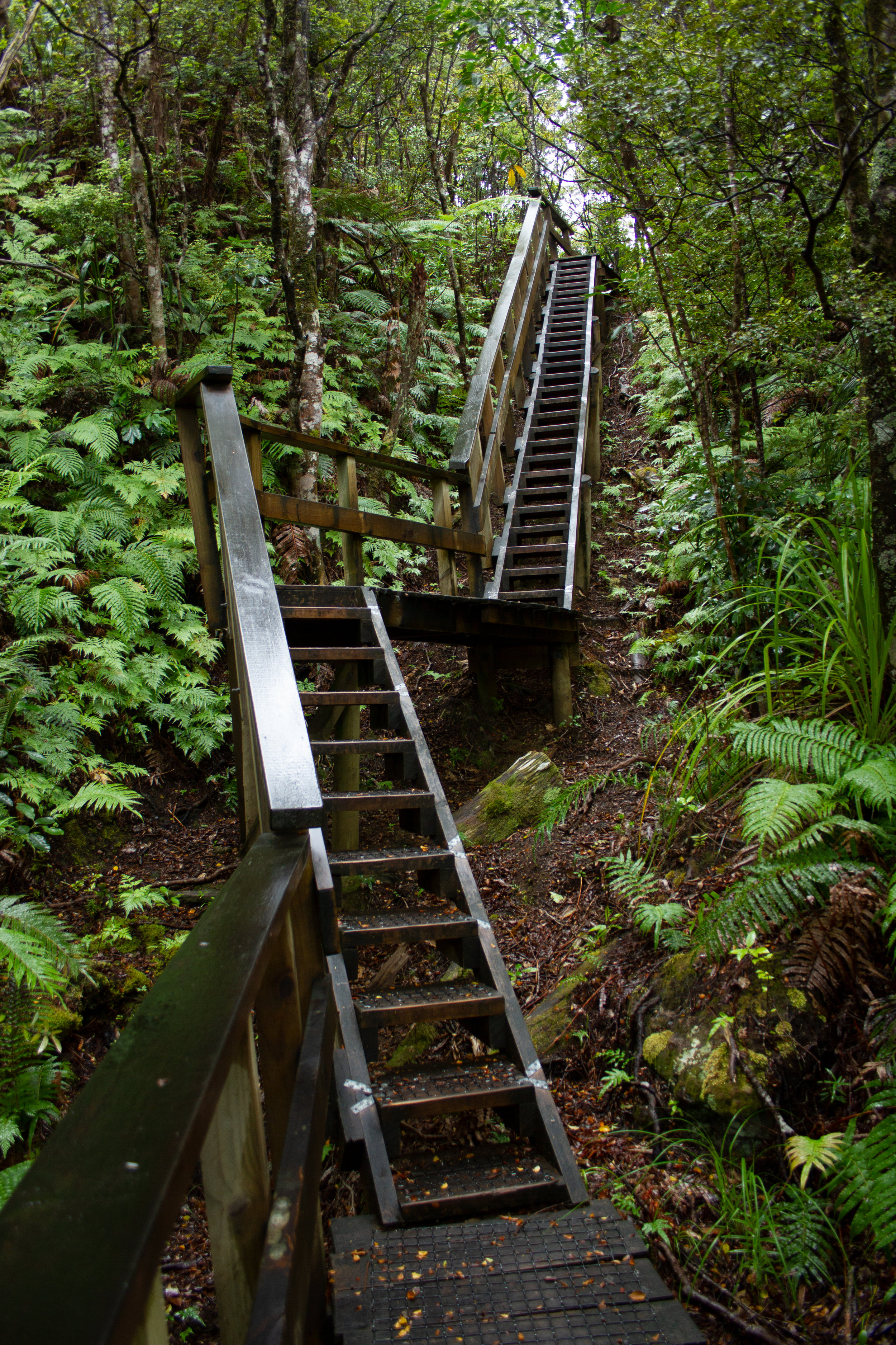 Climb, Aotea, March 2019