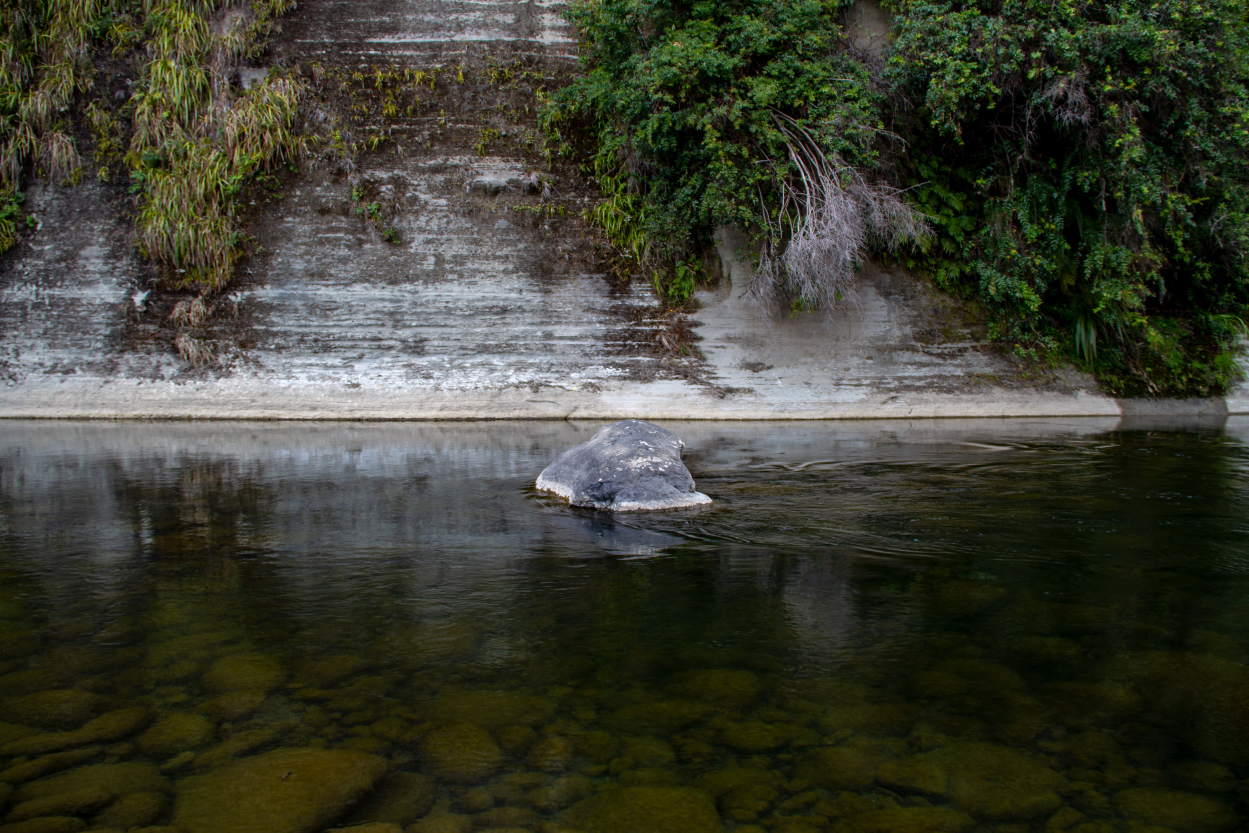 The Future is Looking Forward #183, (Ruatiti), April 2019