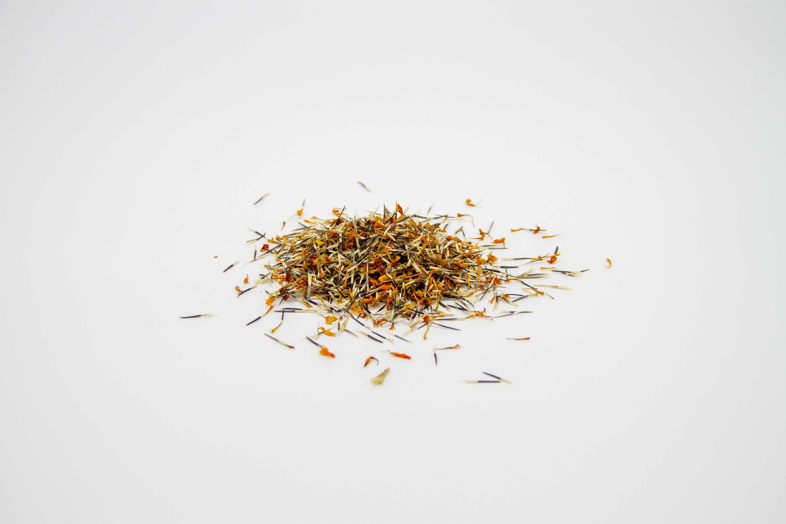 Collected Marigold Seeds, 2020