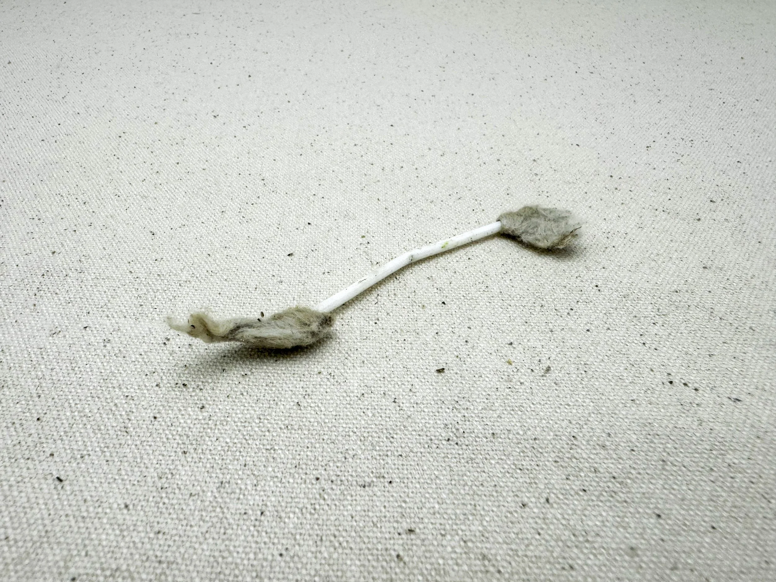 Cotton Wool Bud, (used)