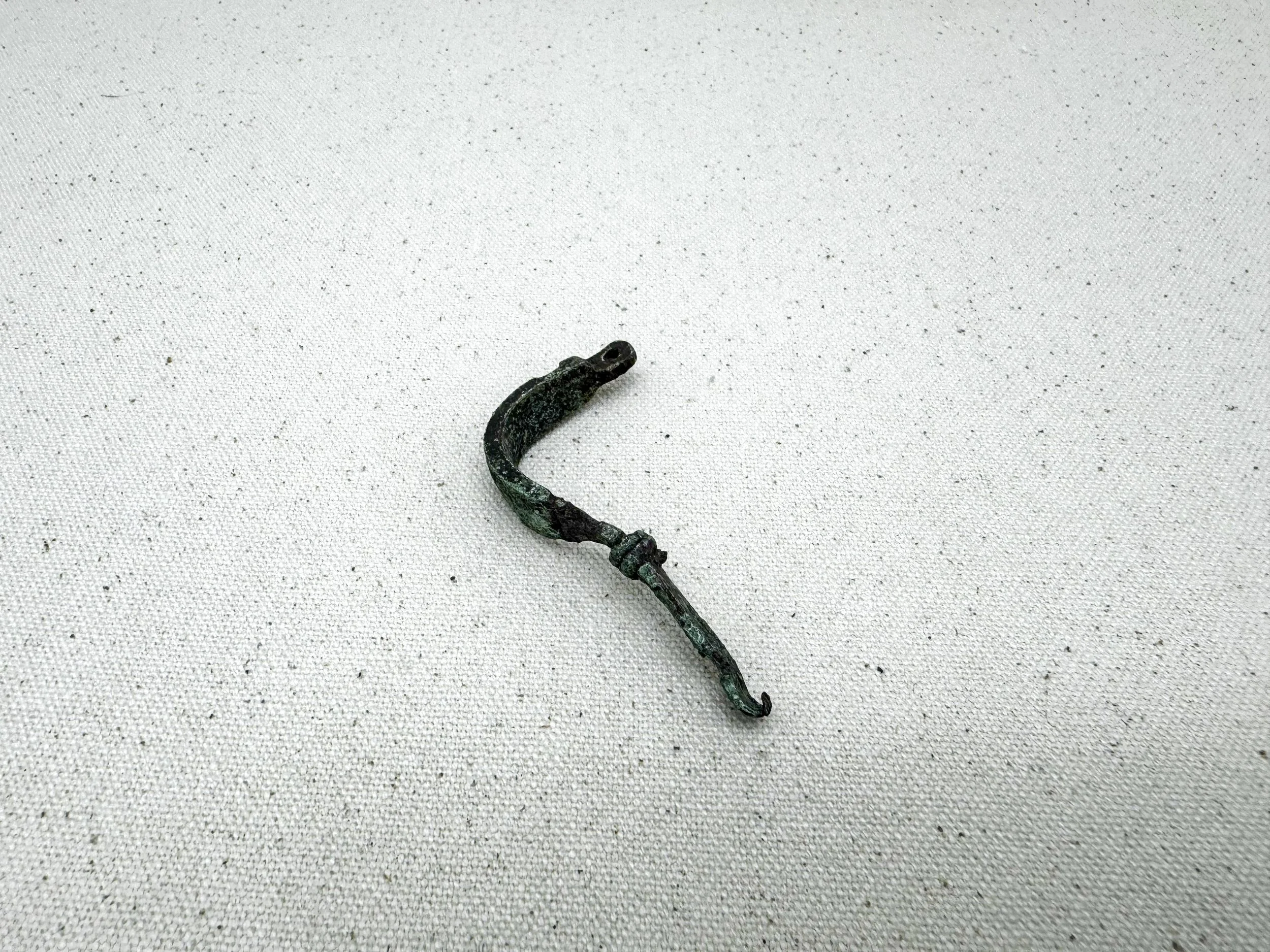 Fibula (missing pin)