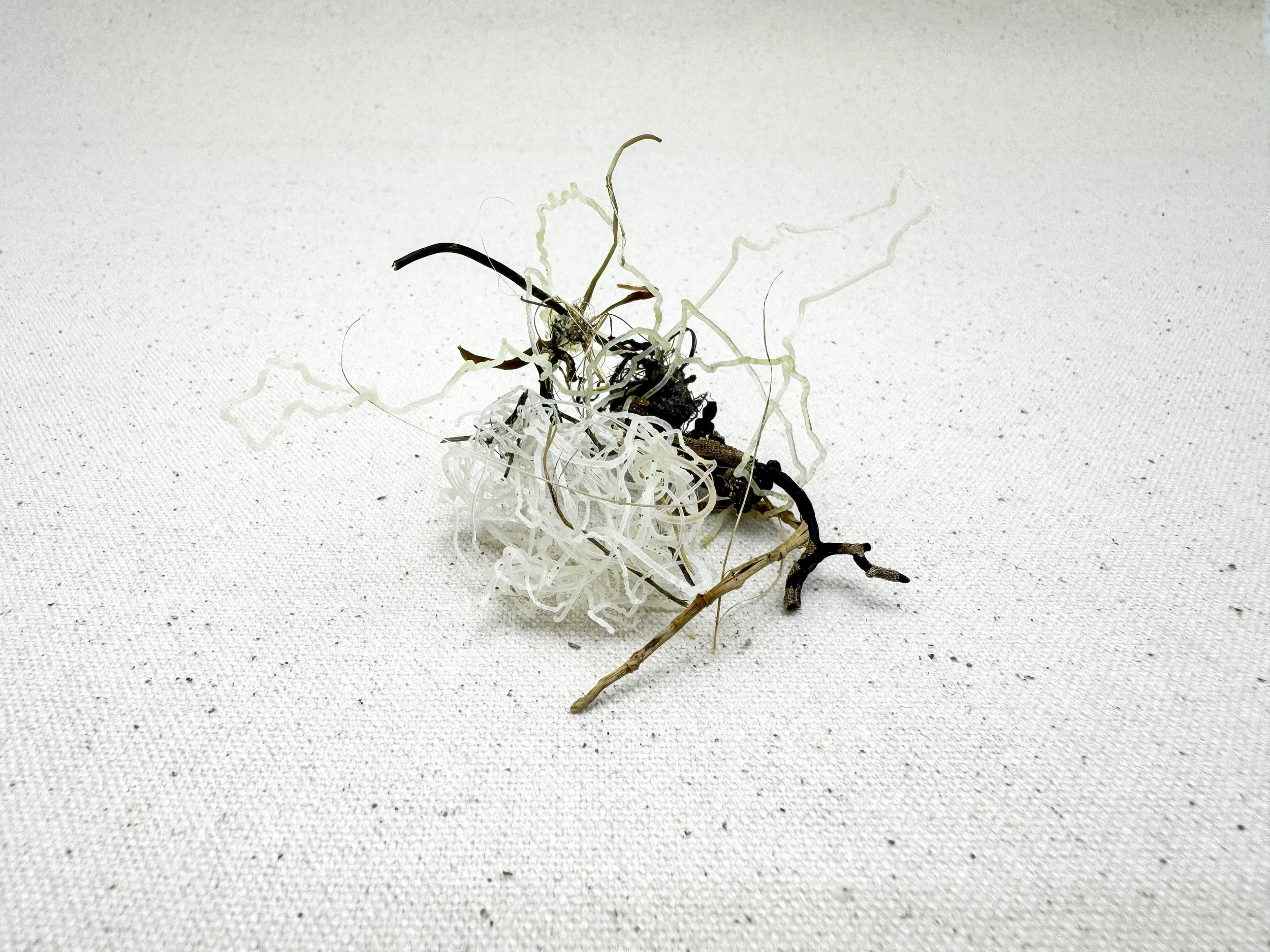 Fishing line (white)