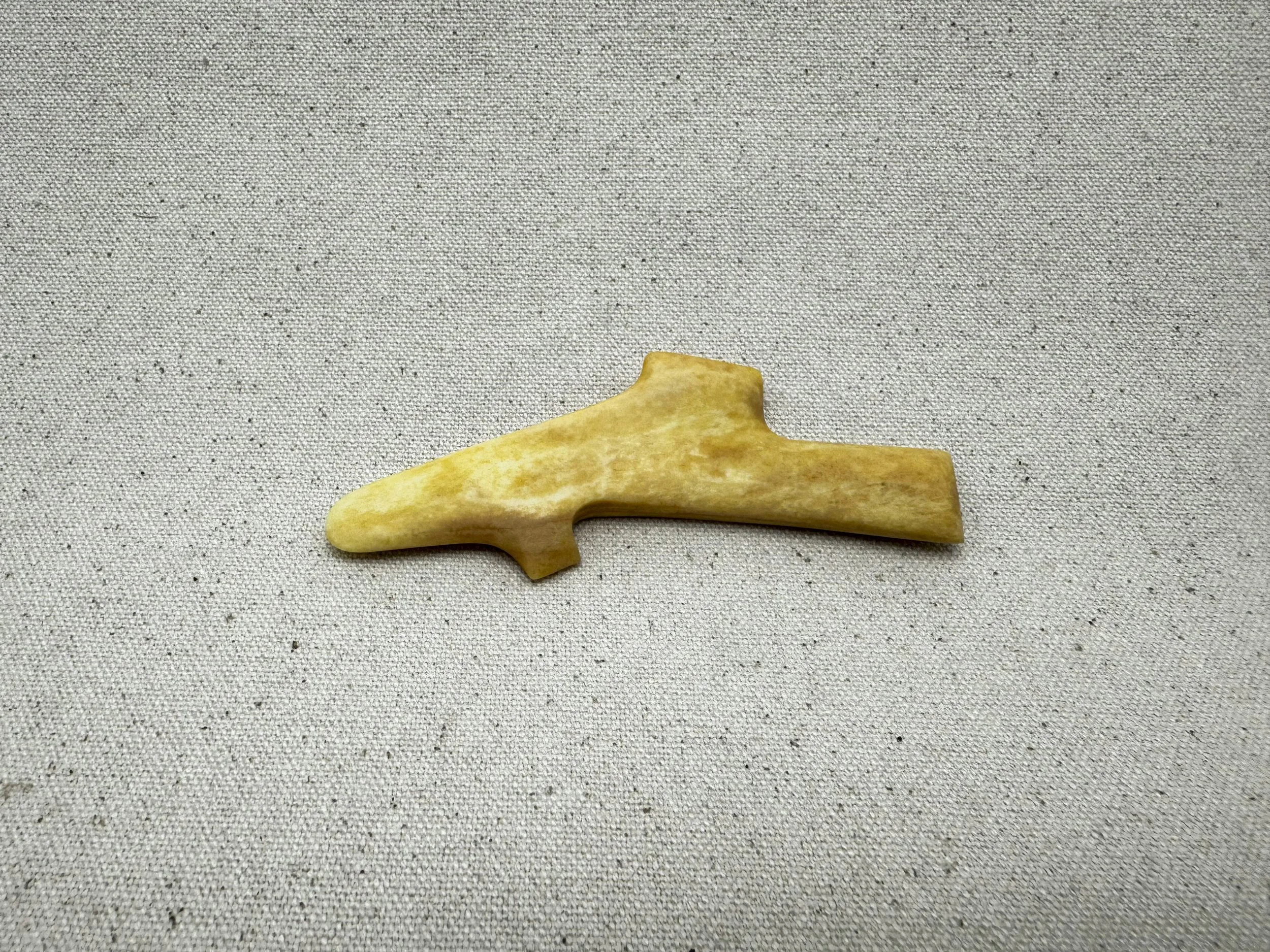 Bone Inanga (soaked in honey for 4 years)