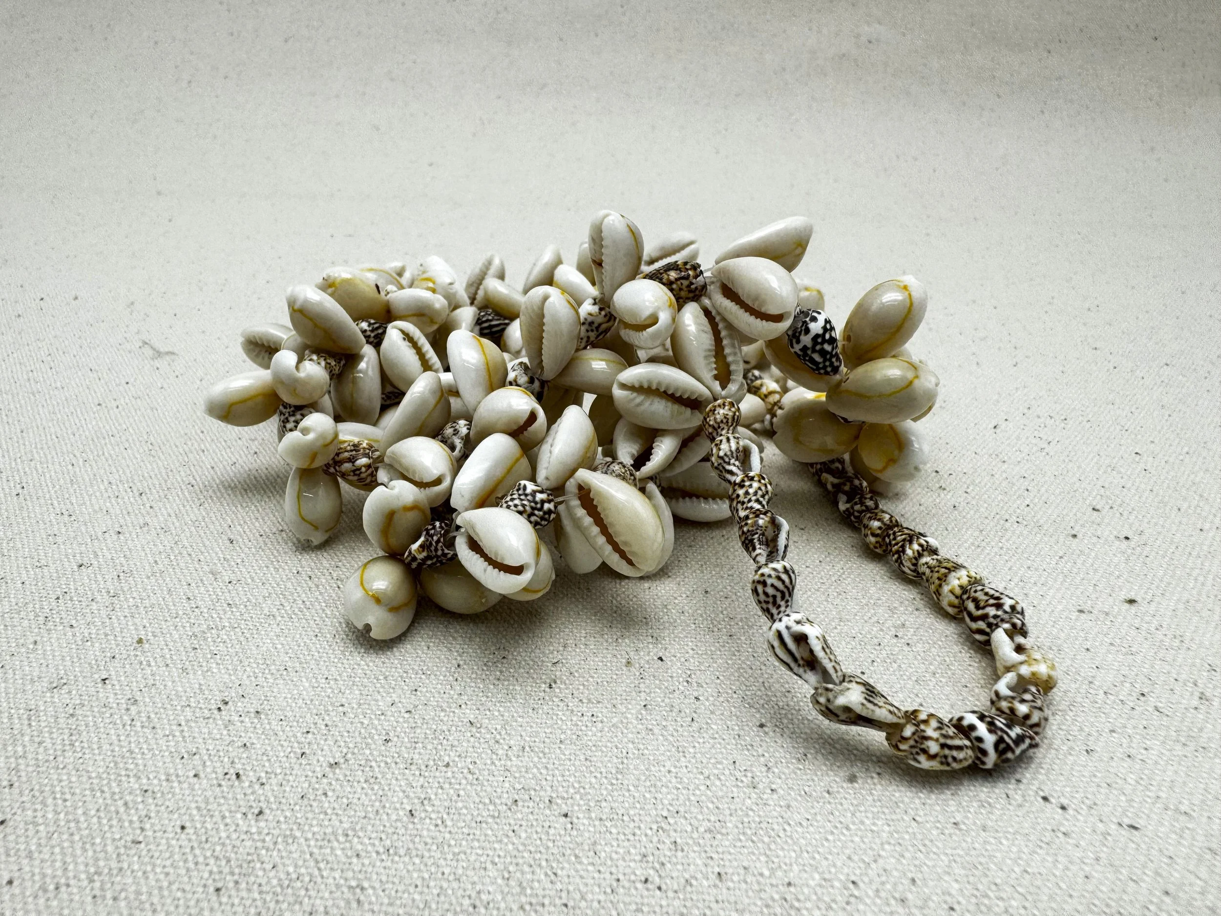 Cowrie shells on necklace (undone)