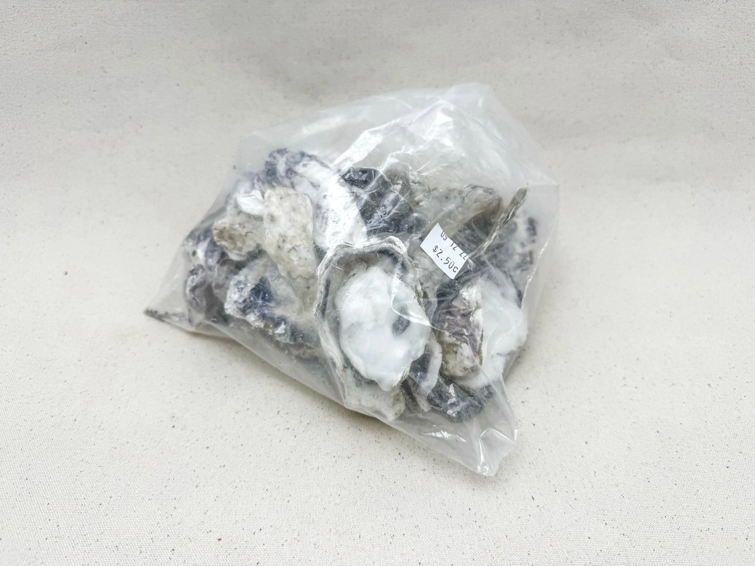 Bag of oyster shells