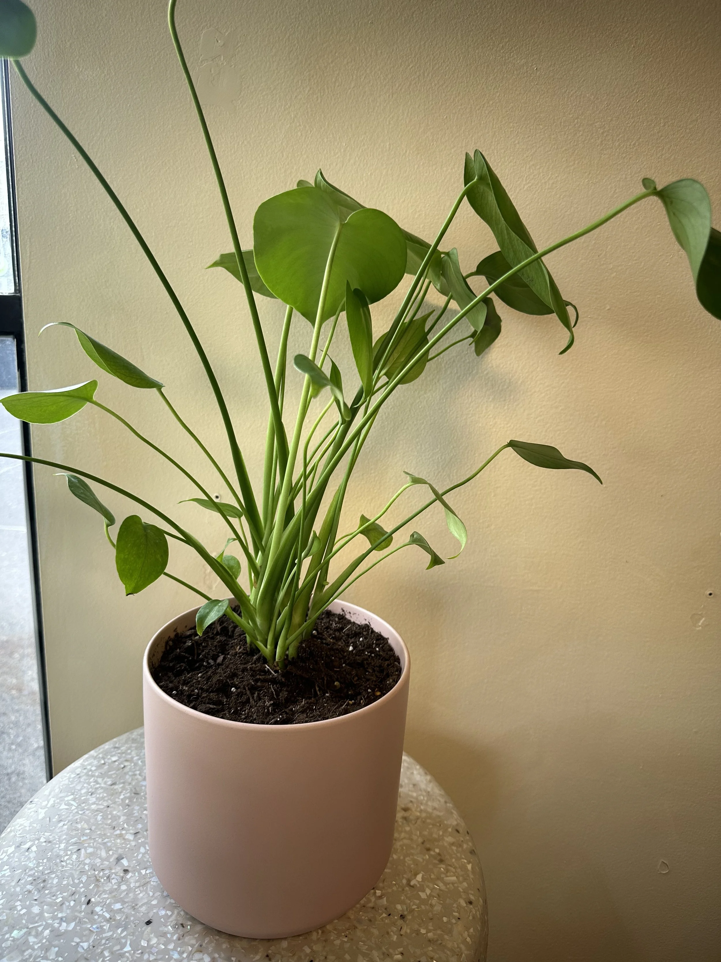 Photo Mar 23 2026, 4 12 00 PM.jpg