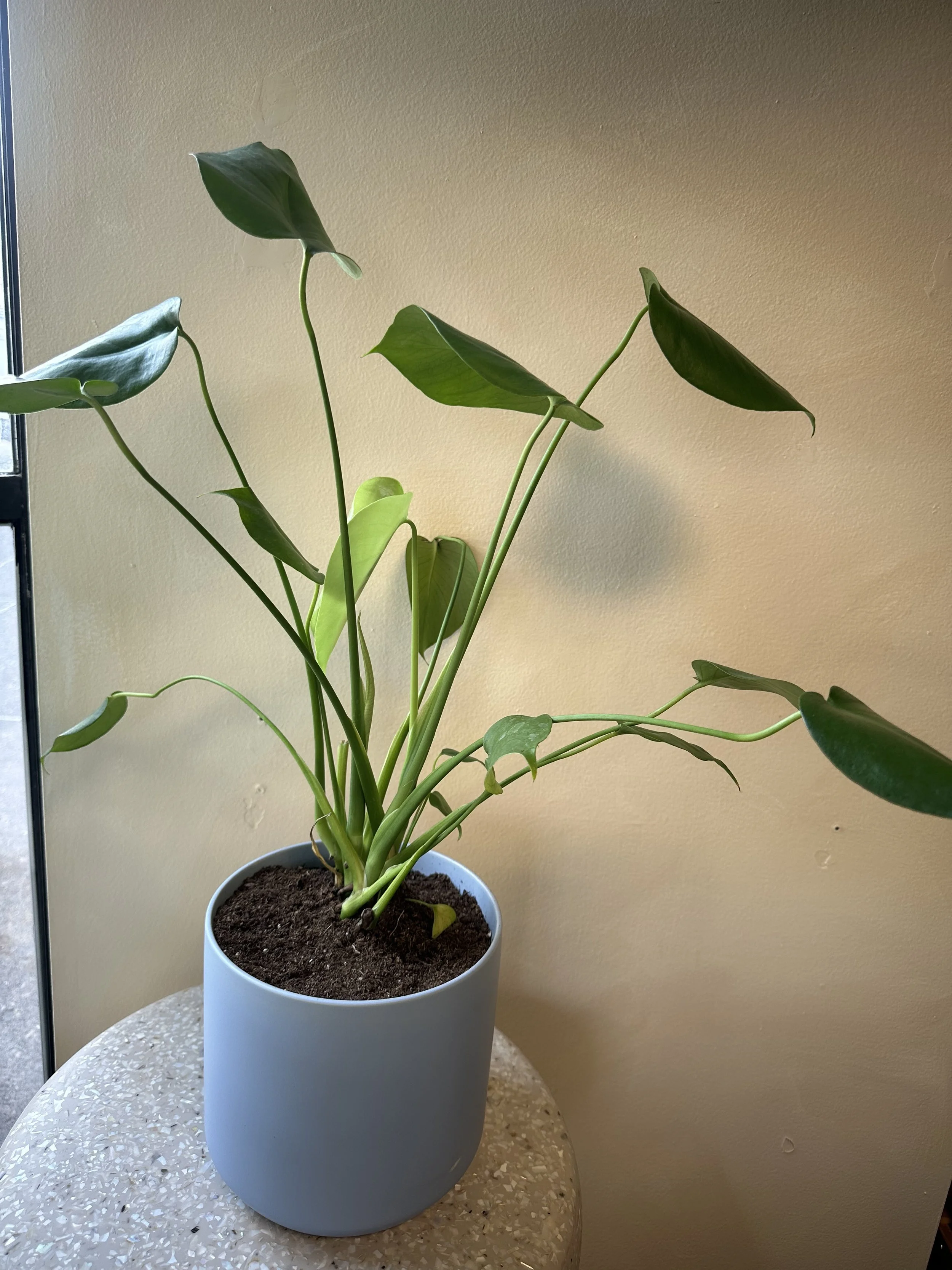 Photo Mar 23 2026, 4 11 15 PM.jpg