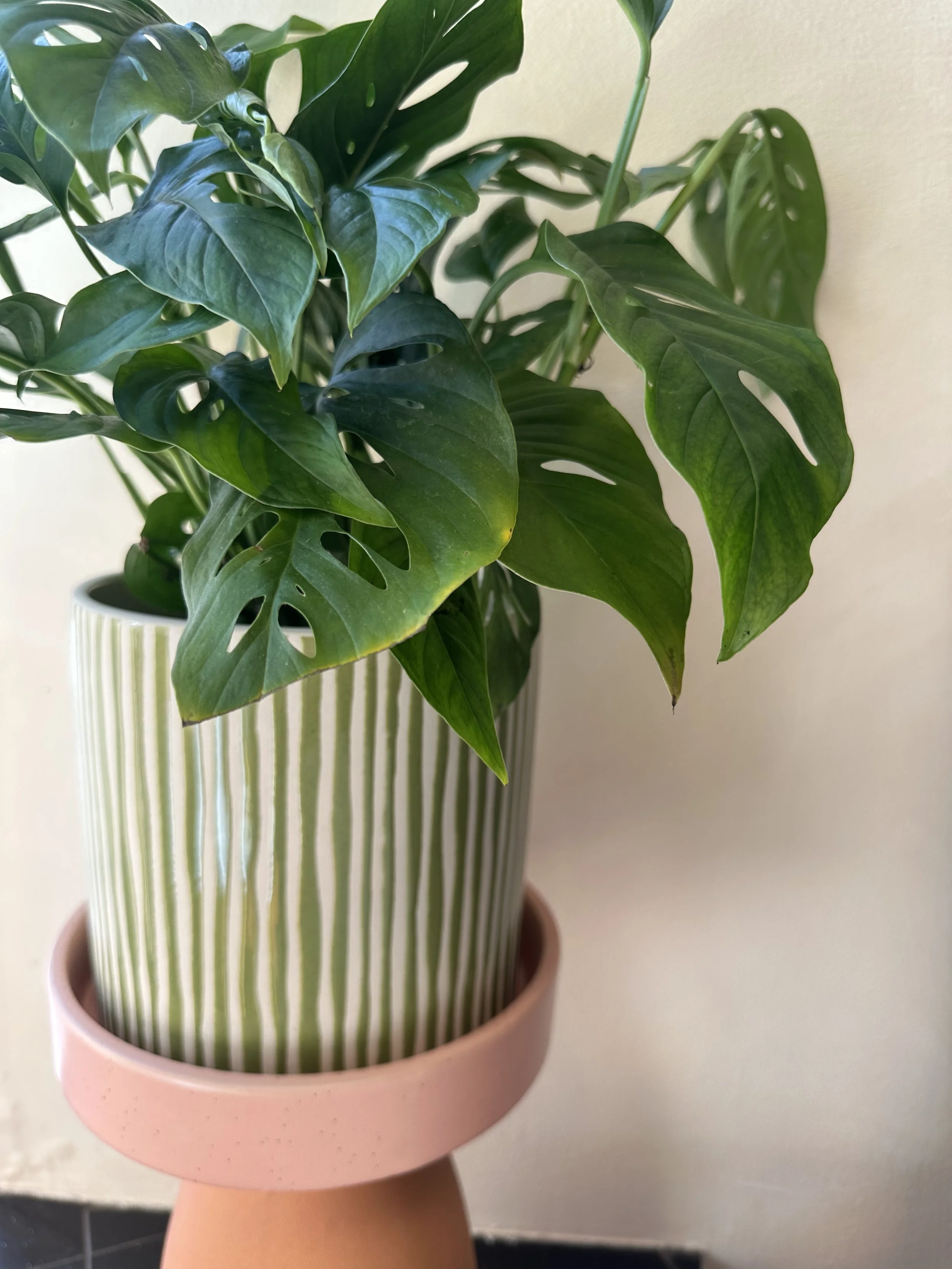 Photo Jan 27 2026, 1 13 29 PM.jpg