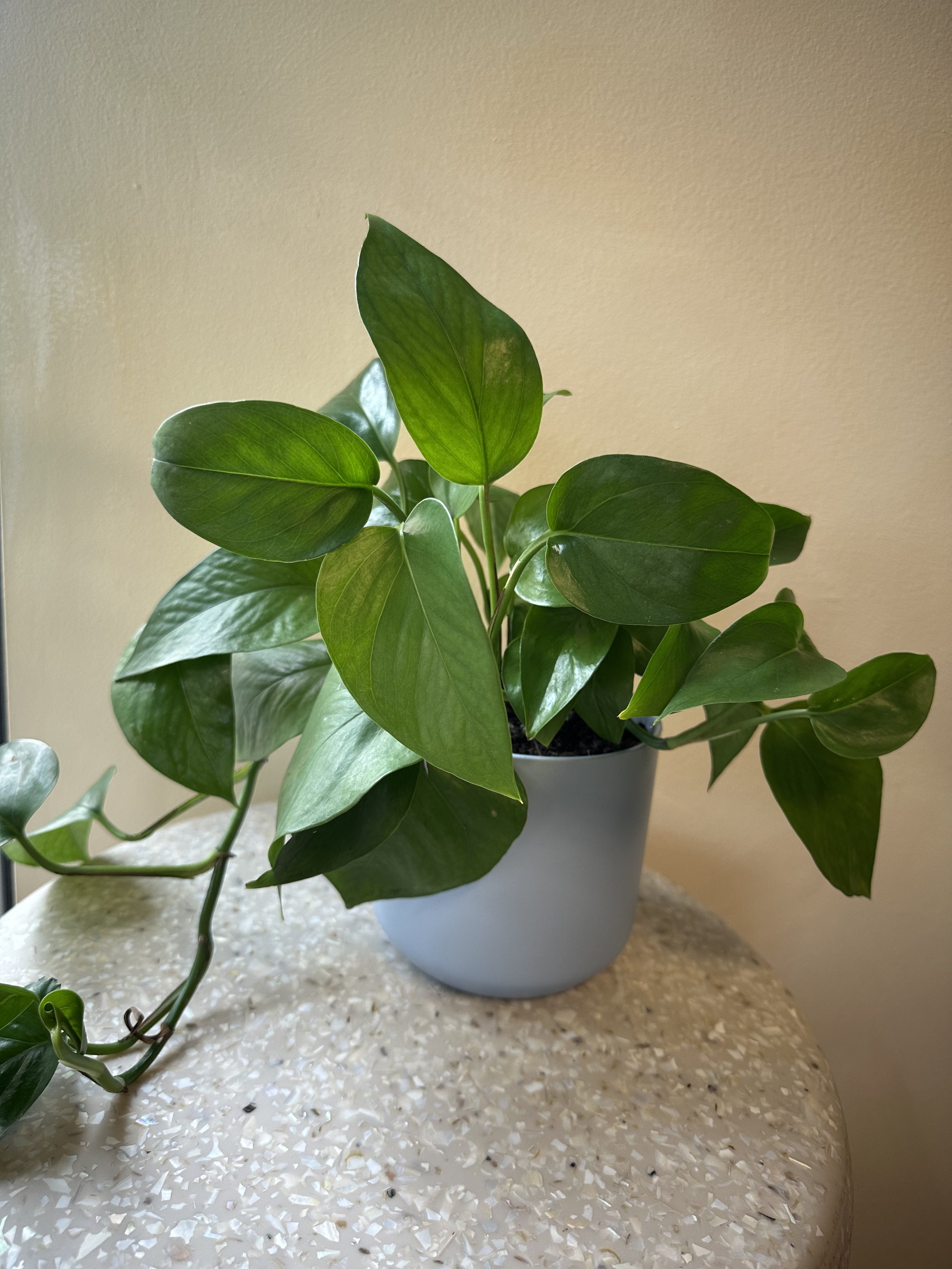 Photo Mar 23 2026, 4 01 26 PM.jpg