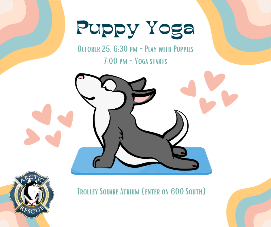 Arctic Rescue Puppy Yoga