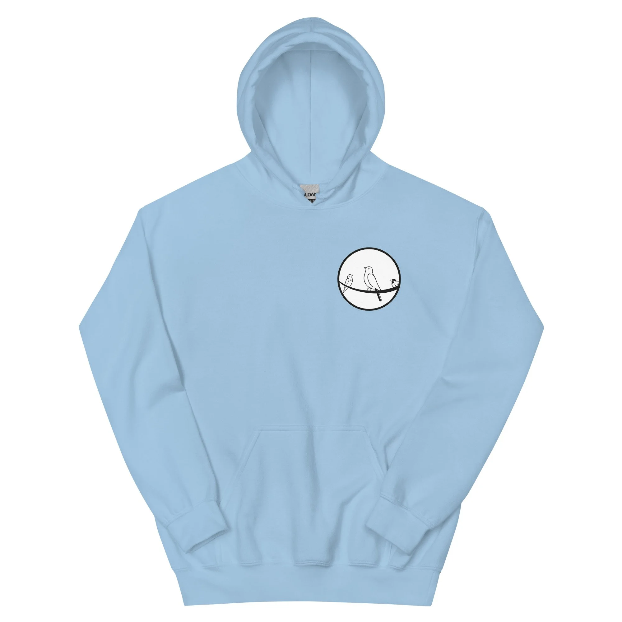 unisex-heavy-blend-hoodie-light-blue-front-636031273356a.jpg