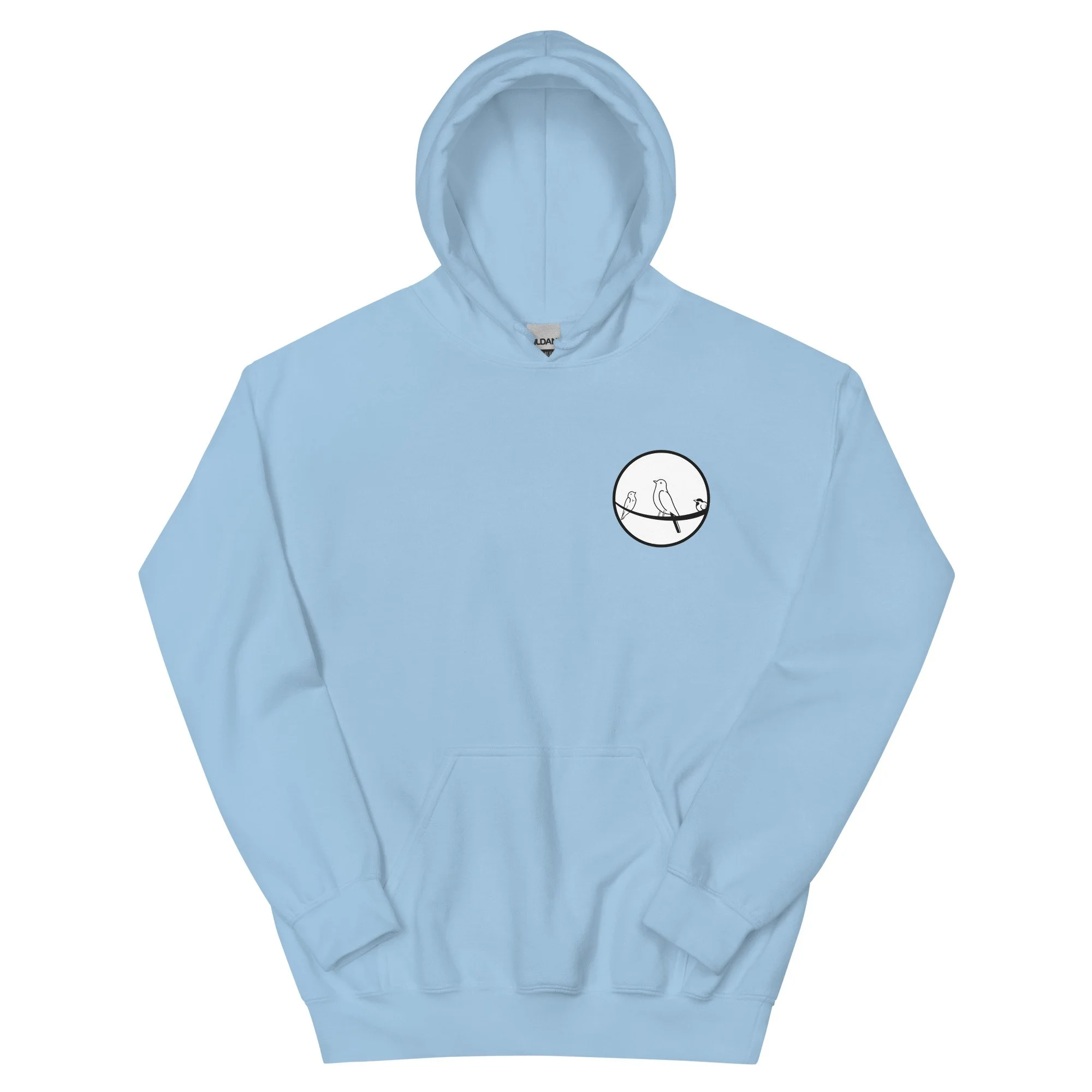 unisex-heavy-blend-hoodie-light-blue-front-6722621892a31.jpg