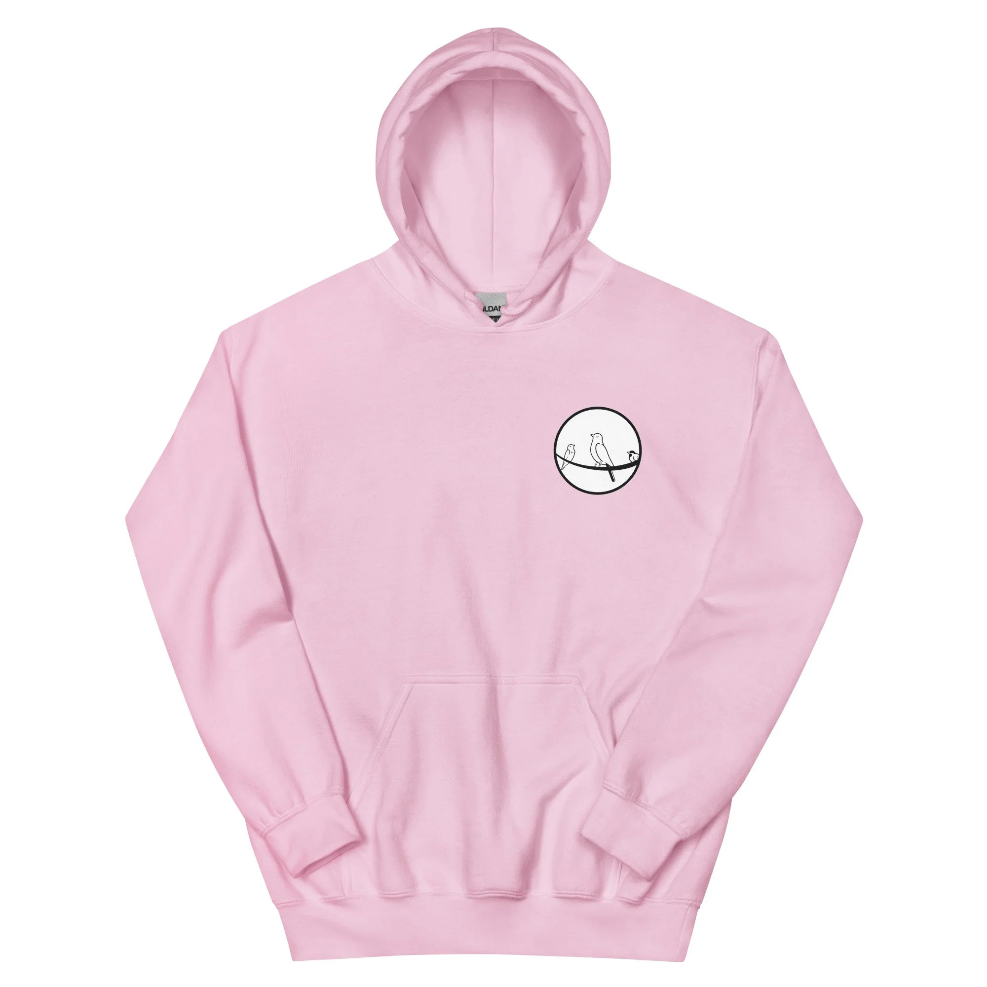 unisex-heavy-blend-hoodie-light-pink-front-672262189e6ca.jpg