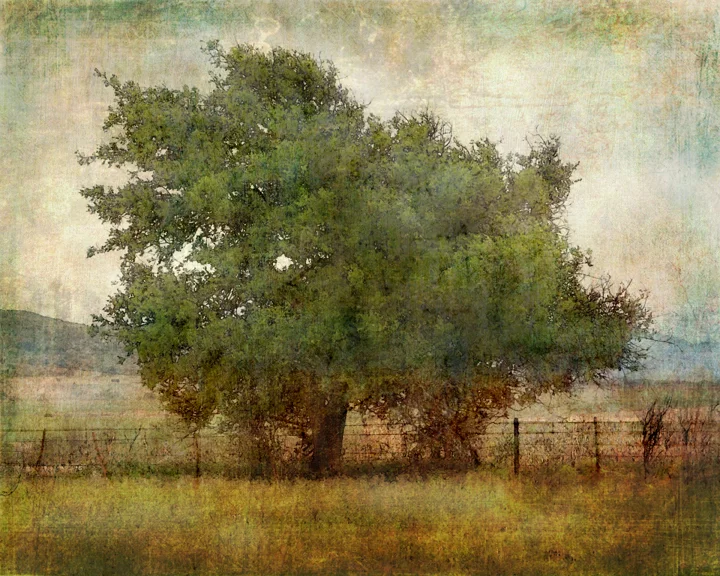 Summer on the Farm