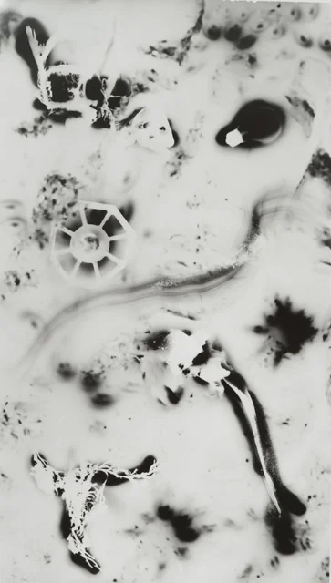 Water’s Edge VI, 2015