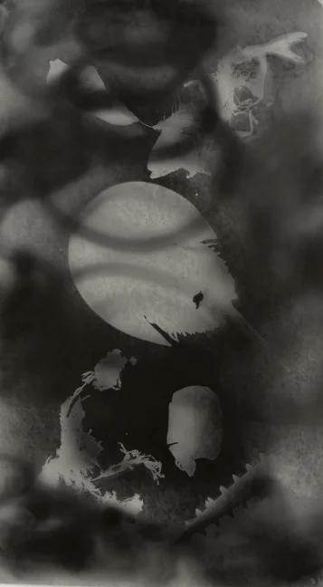 Water's Edge II, 2015